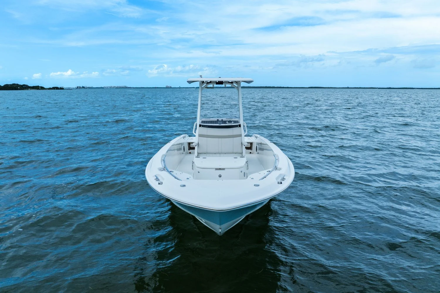2024 Boston Whaler 250 DAUNTLESS Image Thumbnail #1