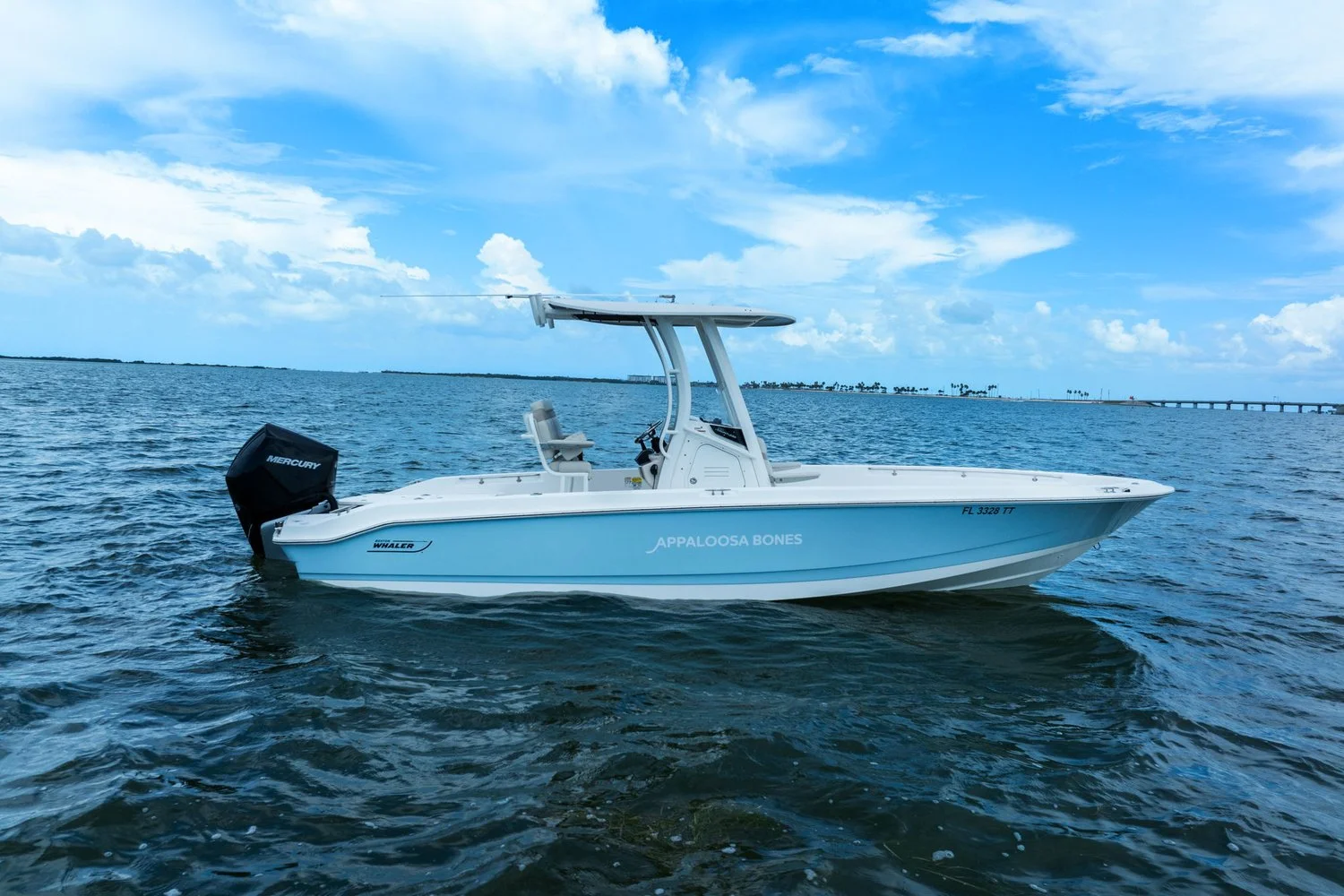2024 Boston Whaler 250 DAUNTLESS Image Thumbnail #3