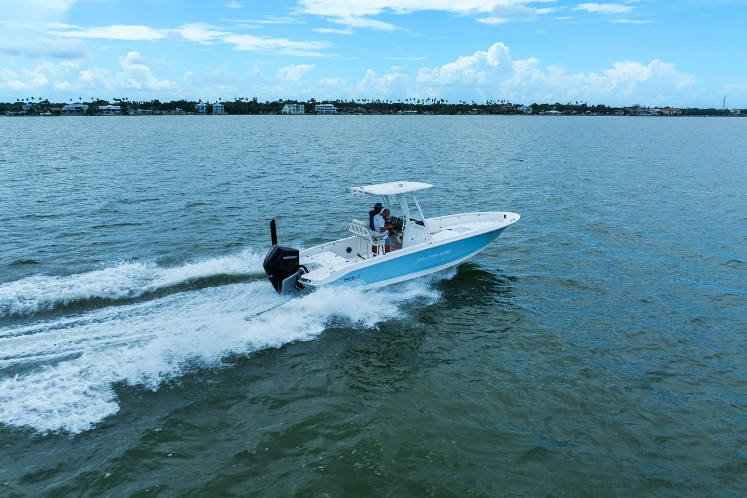 2024 Boston Whaler 250 DAUNTLESS Image Thumbnail #10