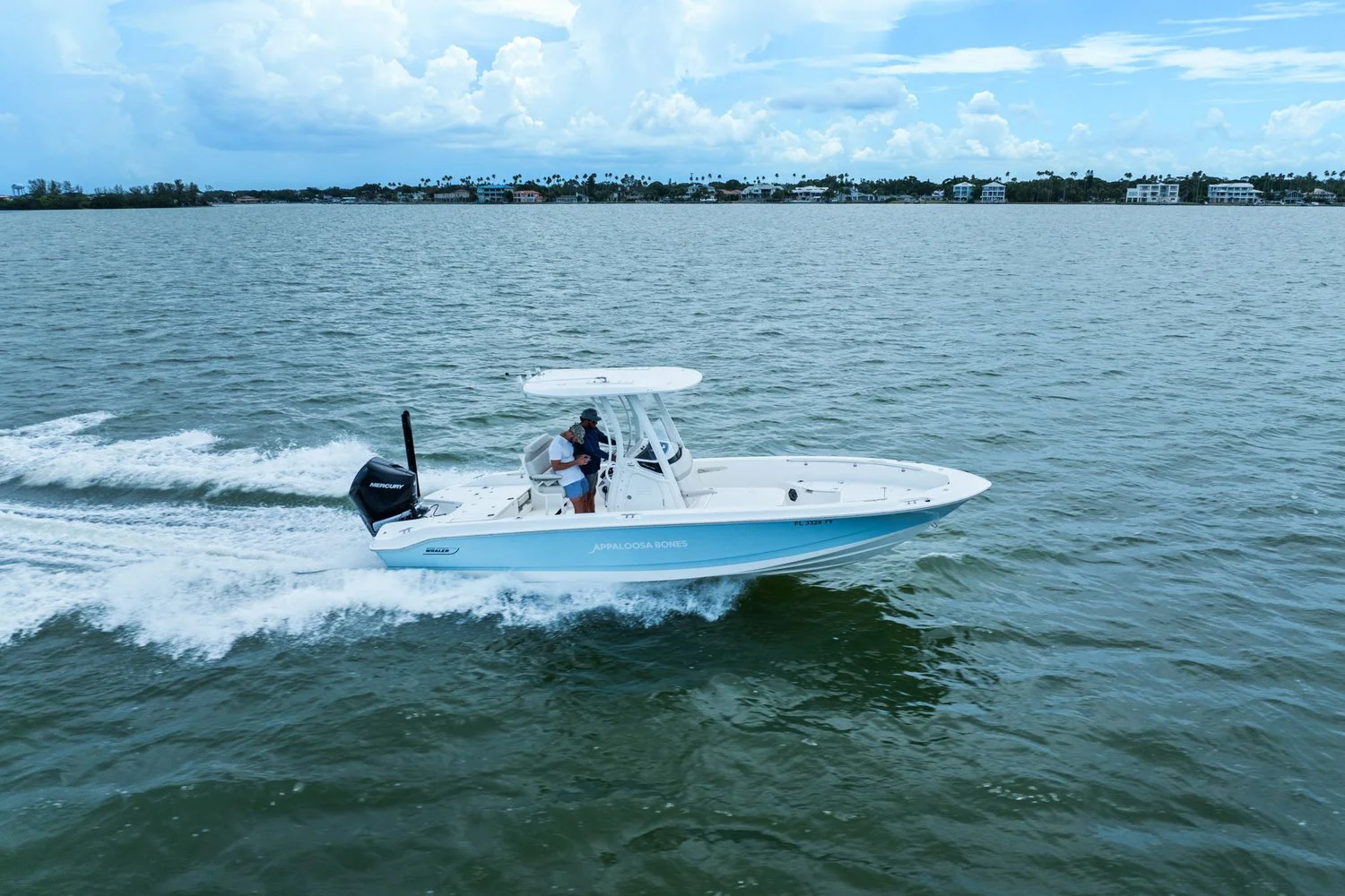 2024 Boston Whaler 250 DAUNTLESS Image Thumbnail #11