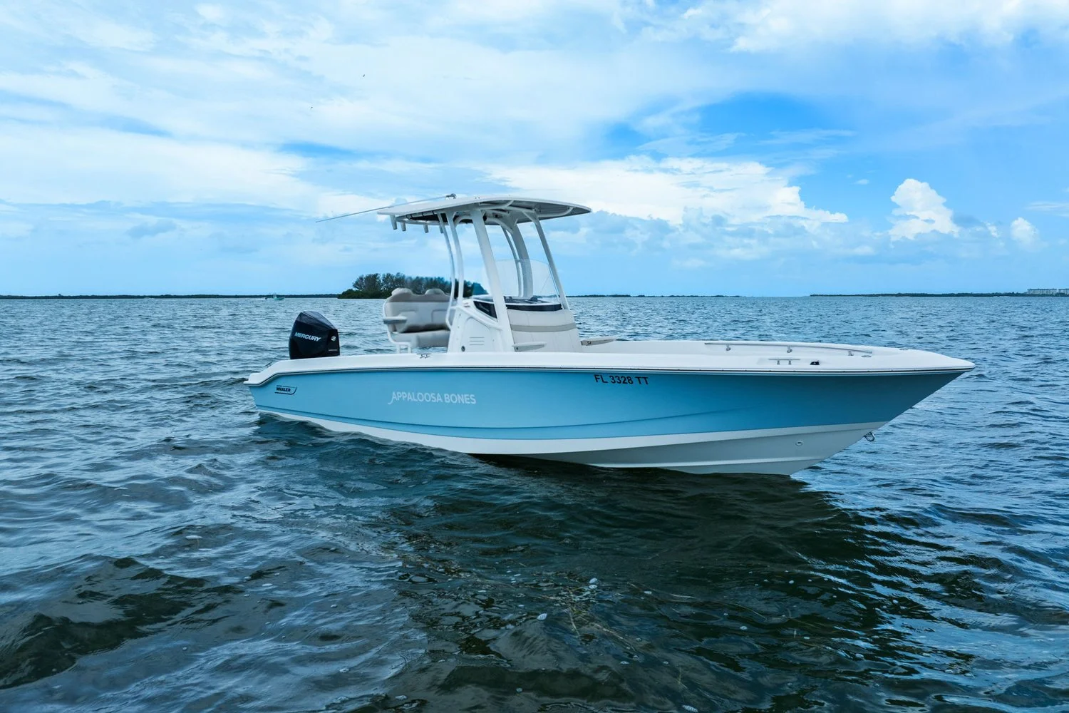 2024 Boston Whaler 250 DAUNTLESS Image Thumbnail #2