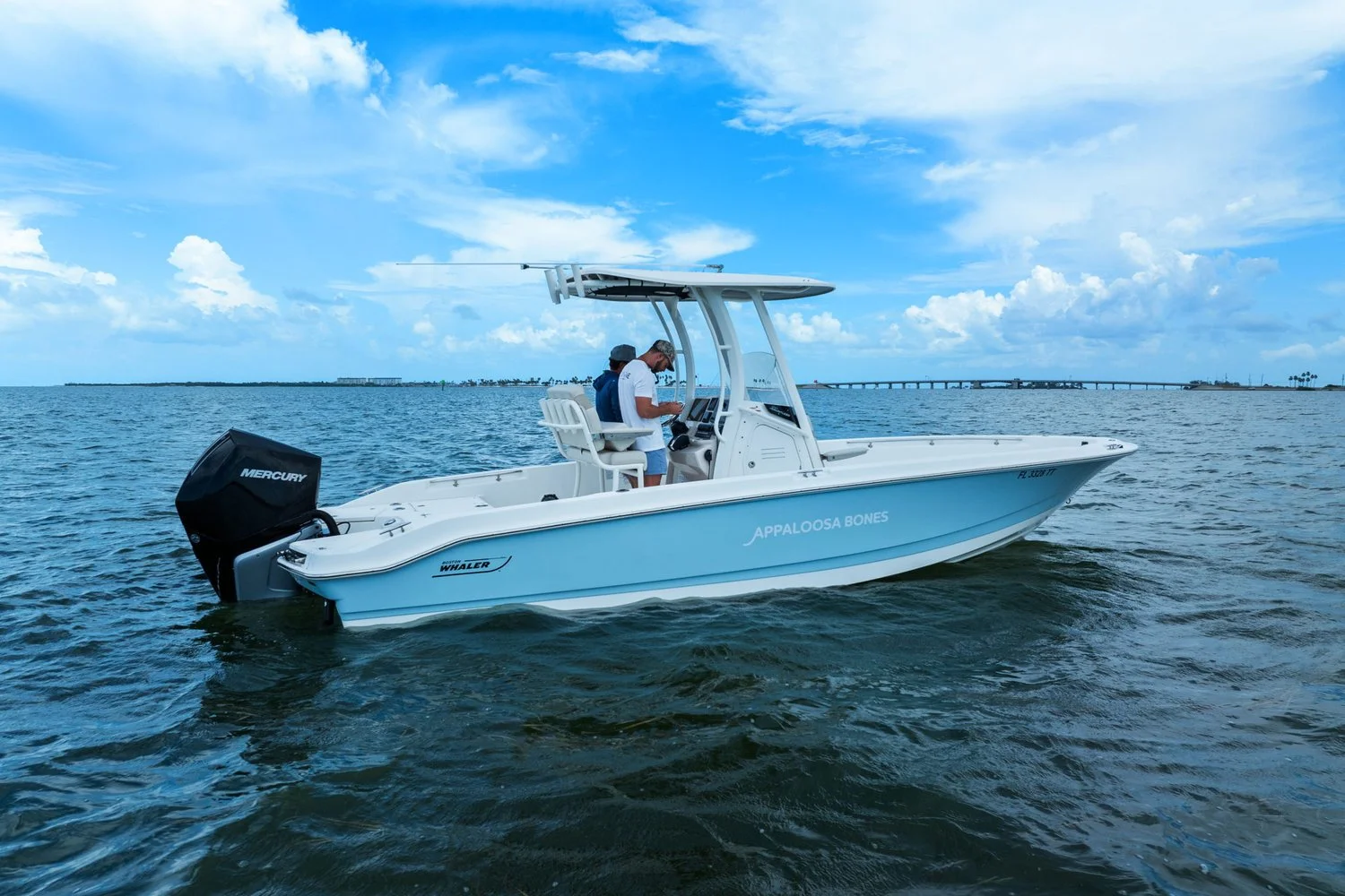 2024 Boston Whaler 250 DAUNTLESS Image Thumbnail #37