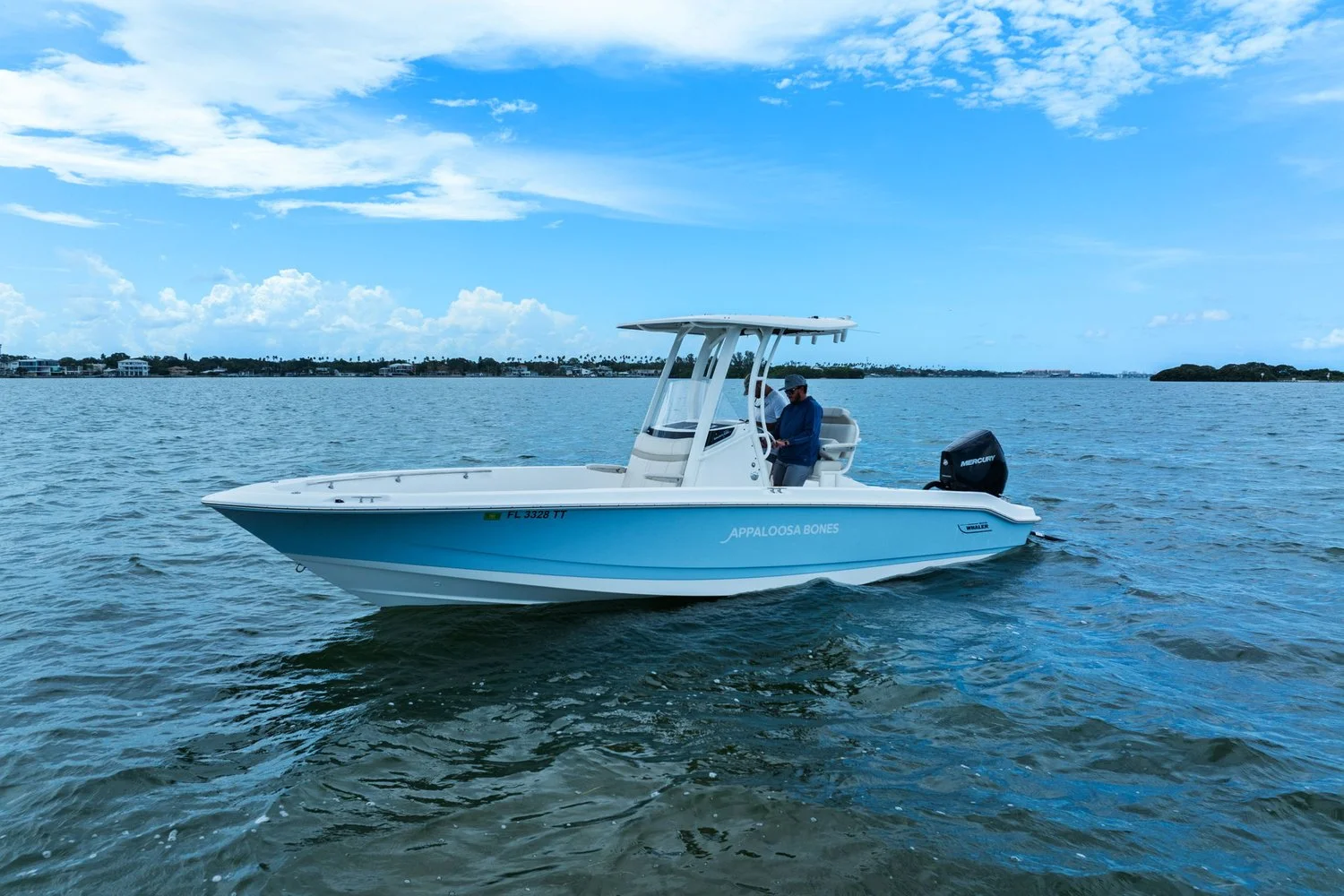2024 Boston Whaler 250 DAUNTLESS Image Thumbnail #41