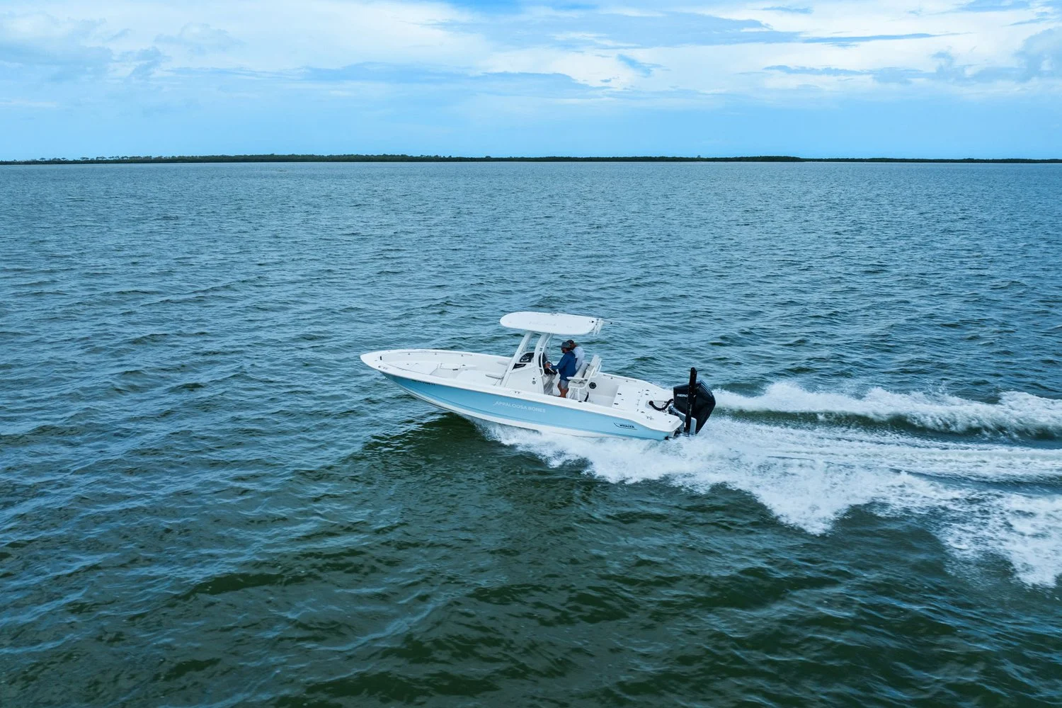 2024 Boston Whaler 250 DAUNTLESS Image Thumbnail #13