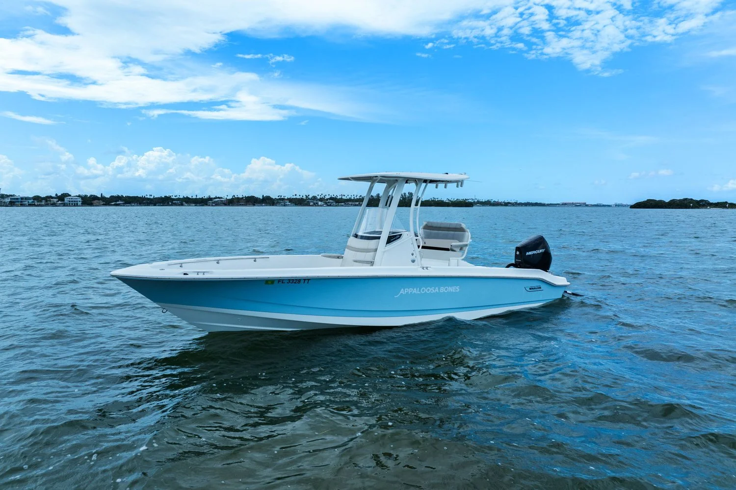 2024 Boston Whaler 250 DAUNTLESS Image Thumbnail #0