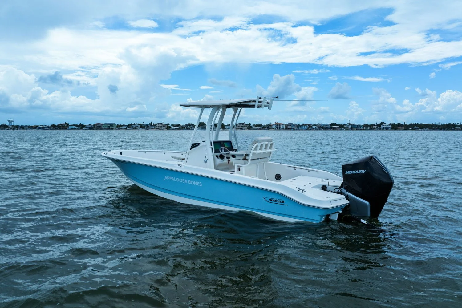 2024 Boston Whaler 250 DAUNTLESS Image Thumbnail #6