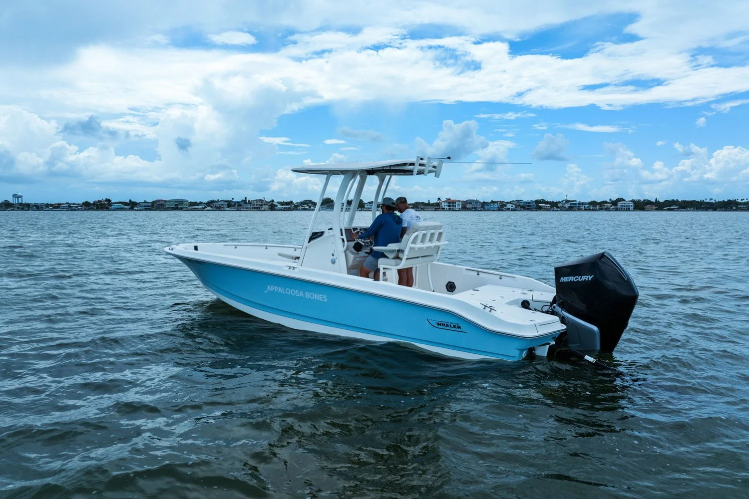 2024 Boston Whaler 250 DAUNTLESS Image Thumbnail #39