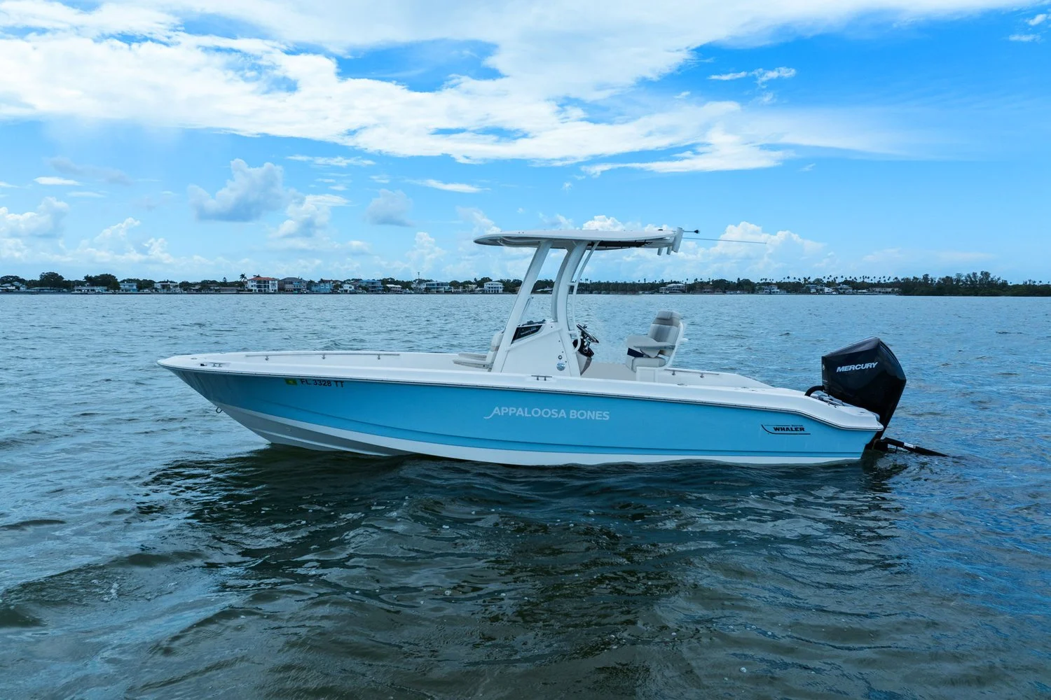 2024 Boston Whaler 250 DAUNTLESS Image Thumbnail #7