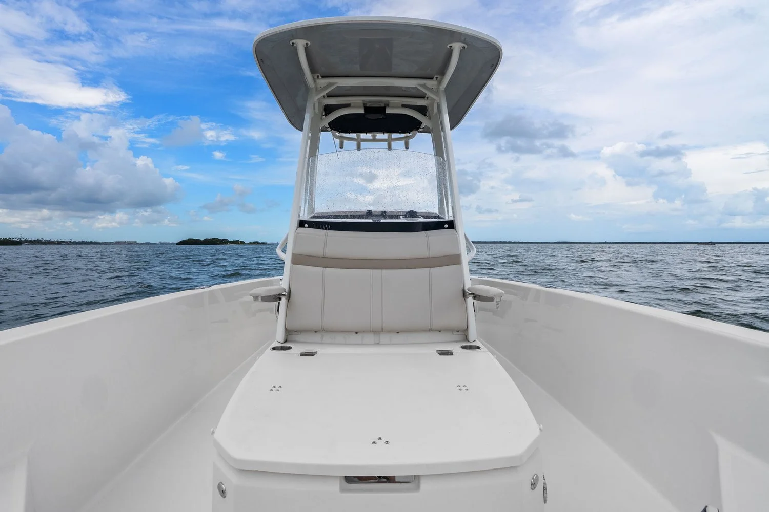 2024 Boston Whaler 250 DAUNTLESS Image Thumbnail #20