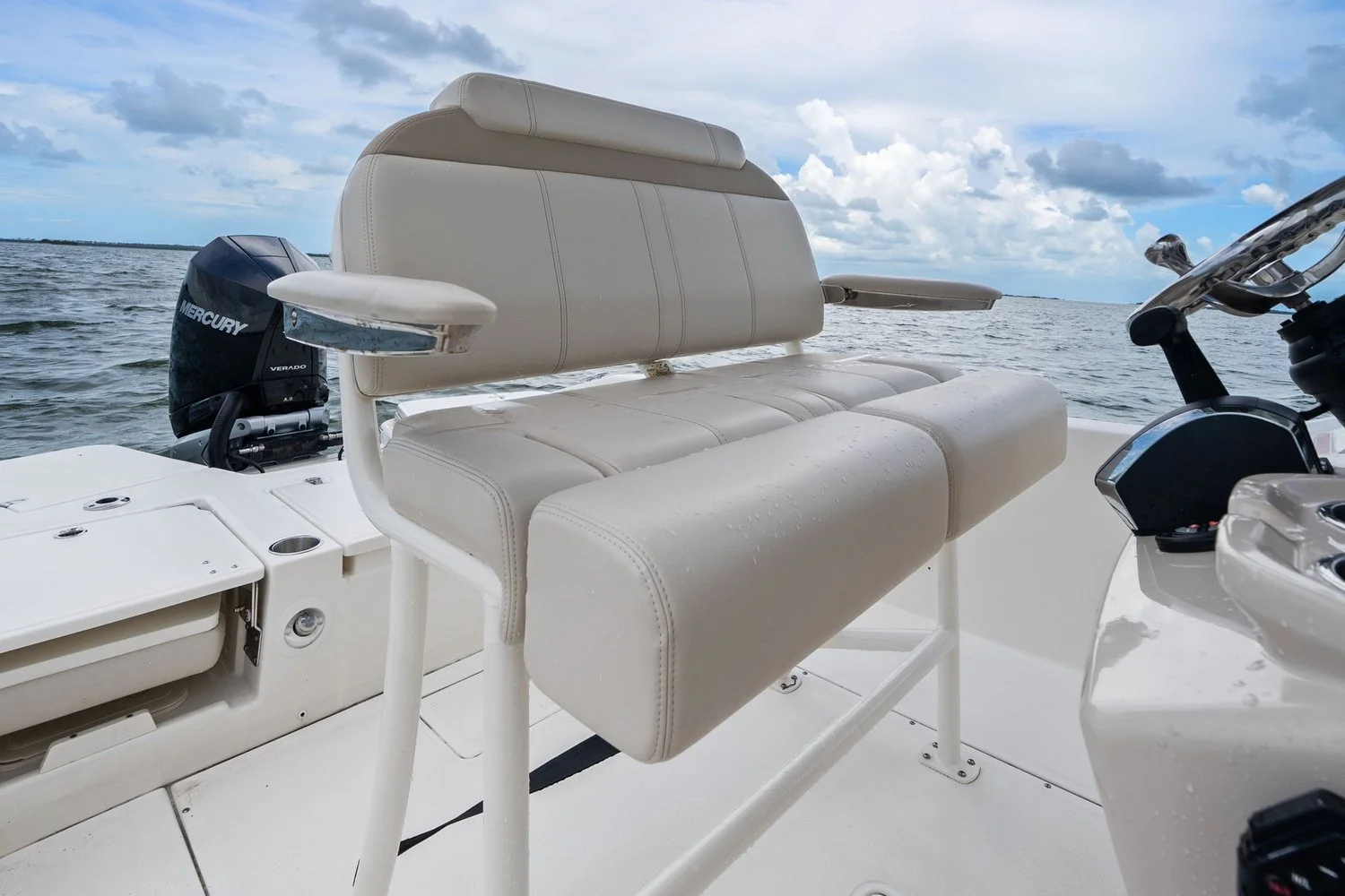 2024 Boston Whaler 250 DAUNTLESS Image Thumbnail #21
