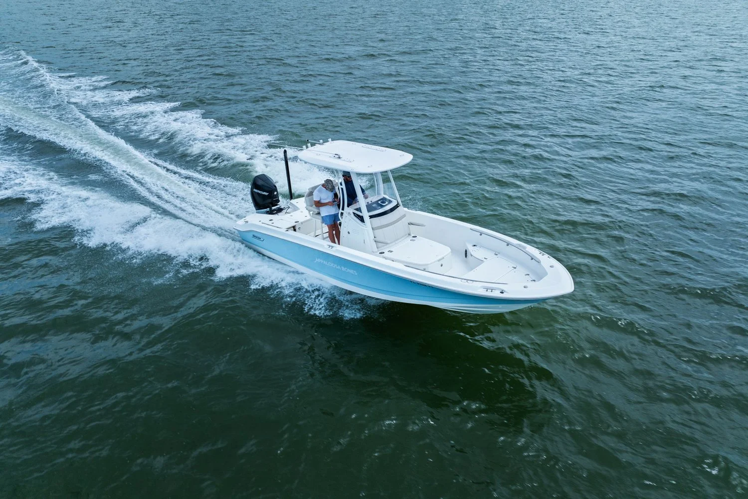 2024 Boston Whaler 250 DAUNTLESS Image Thumbnail #12