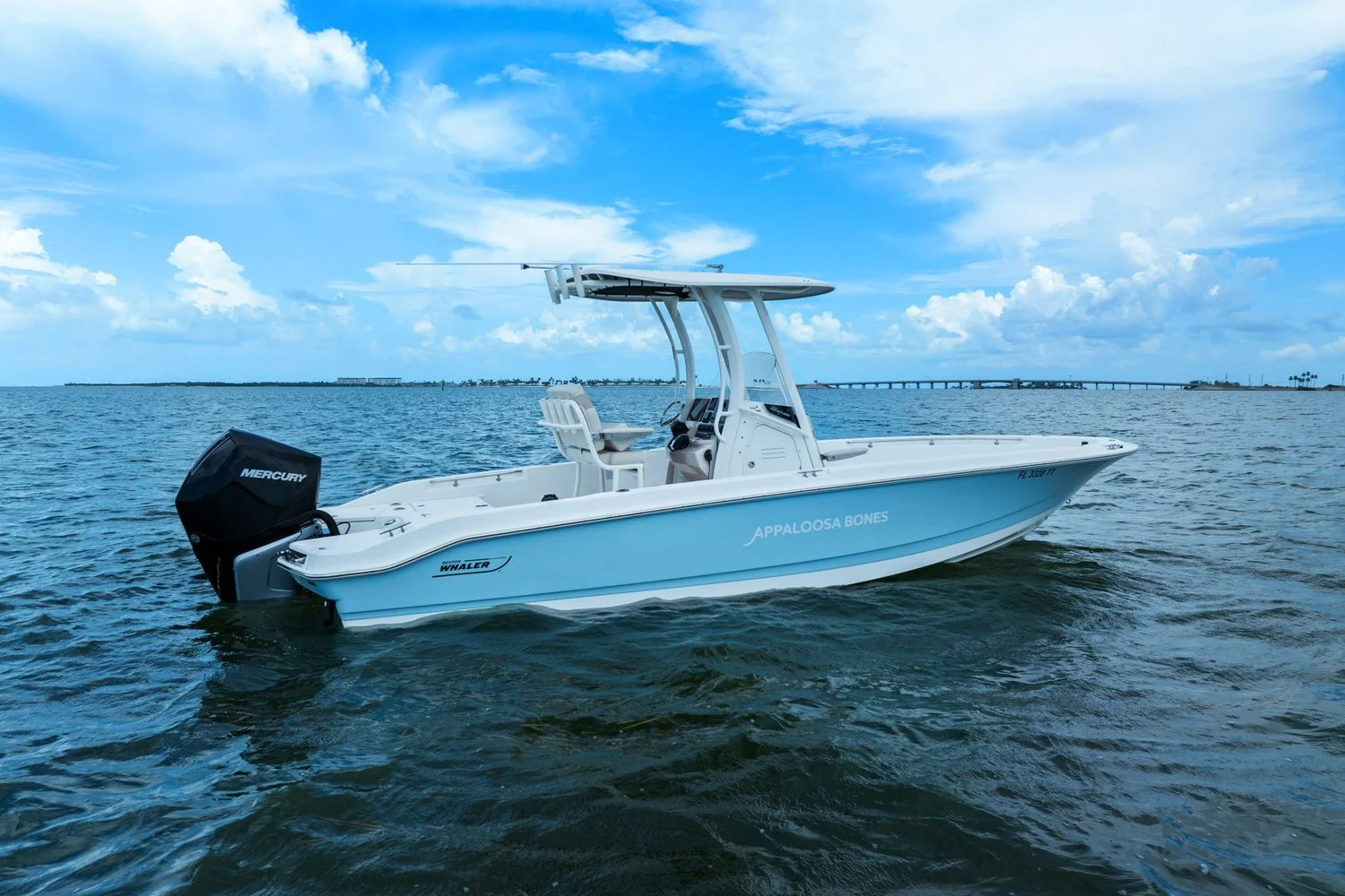 2024 Boston Whaler 250 DAUNTLESS Image Thumbnail #4