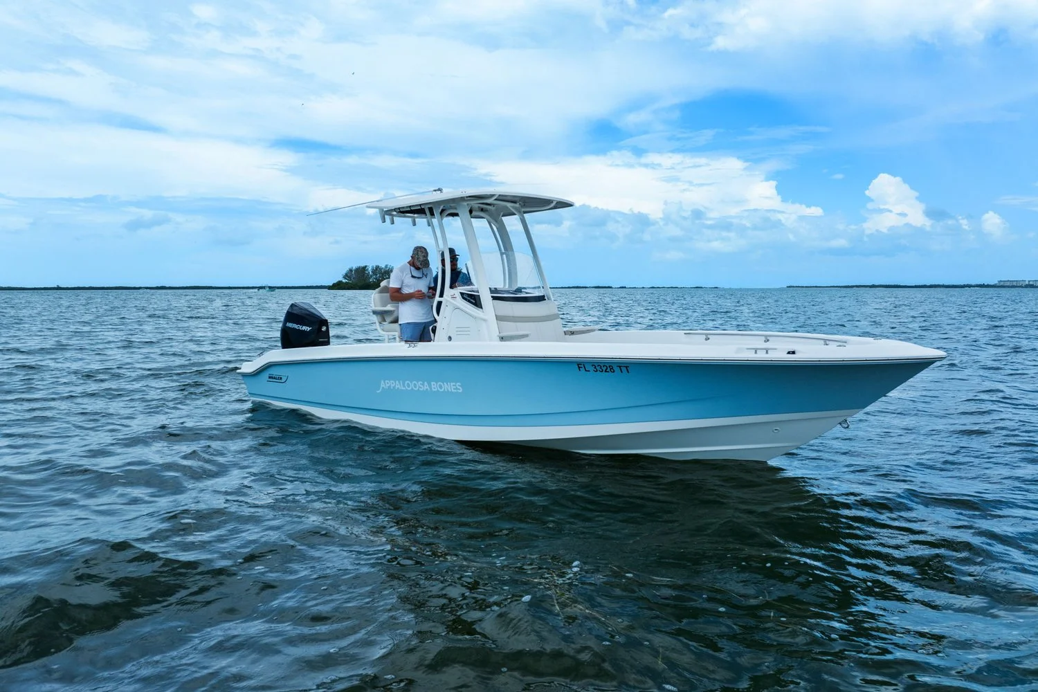2024 Boston Whaler 250 DAUNTLESS Image Thumbnail #35