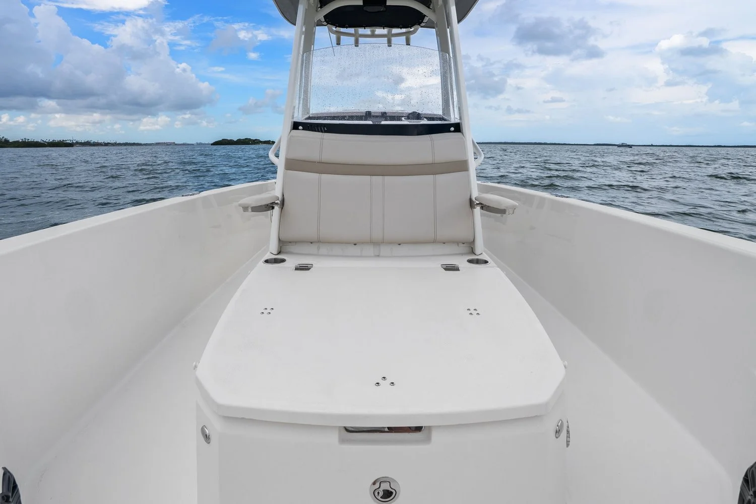 2024 Boston Whaler 250 DAUNTLESS Image Thumbnail #19