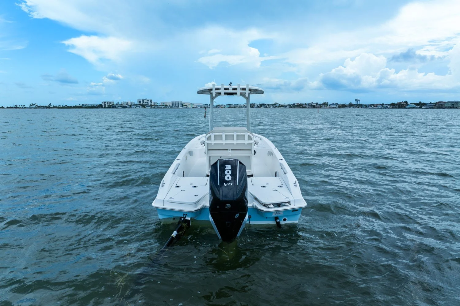 2024 Boston Whaler 250 DAUNTLESS Image Thumbnail #5