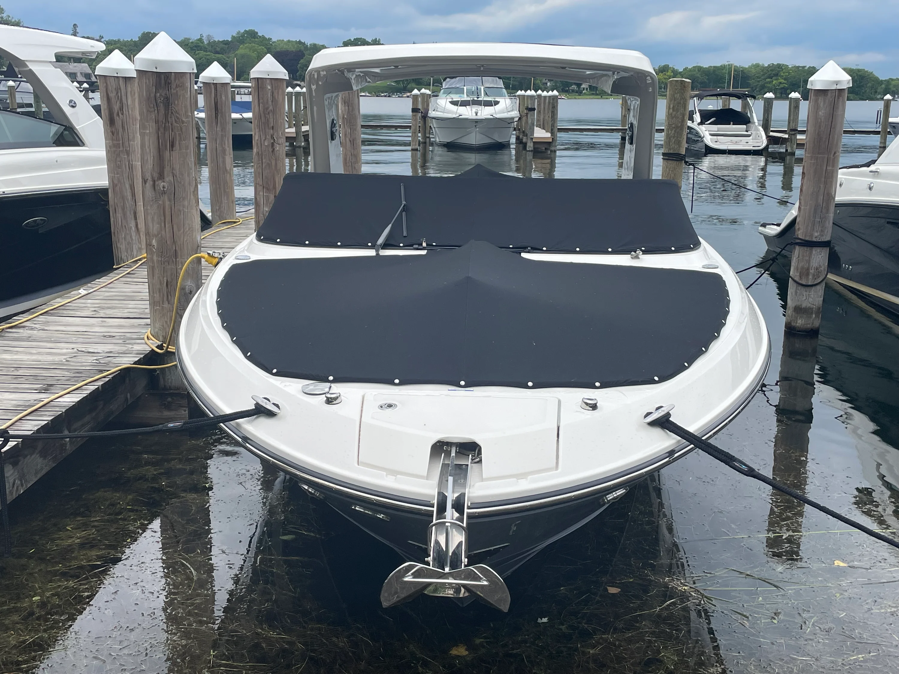 2021 Sea Ray SLX 310 Image Thumbnail #1