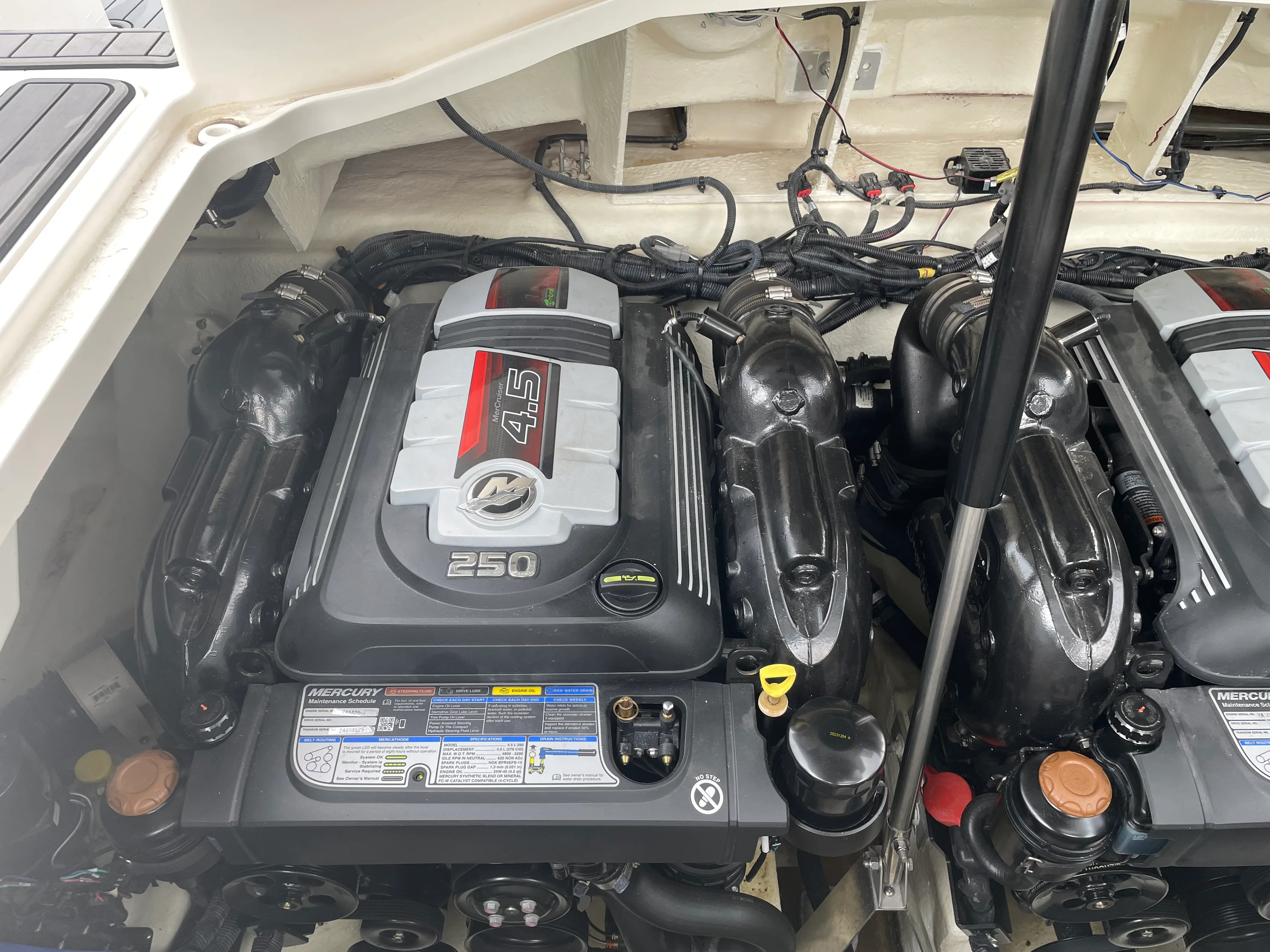2021 Sea Ray SLX 310 Image Thumbnail #45