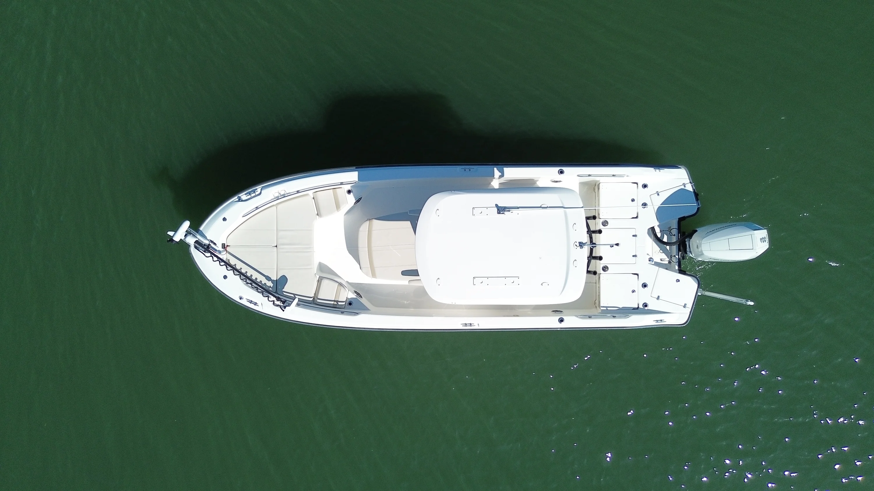 2025 Boston Whaler 250 DAUNTLESS Image Thumbnail #4
