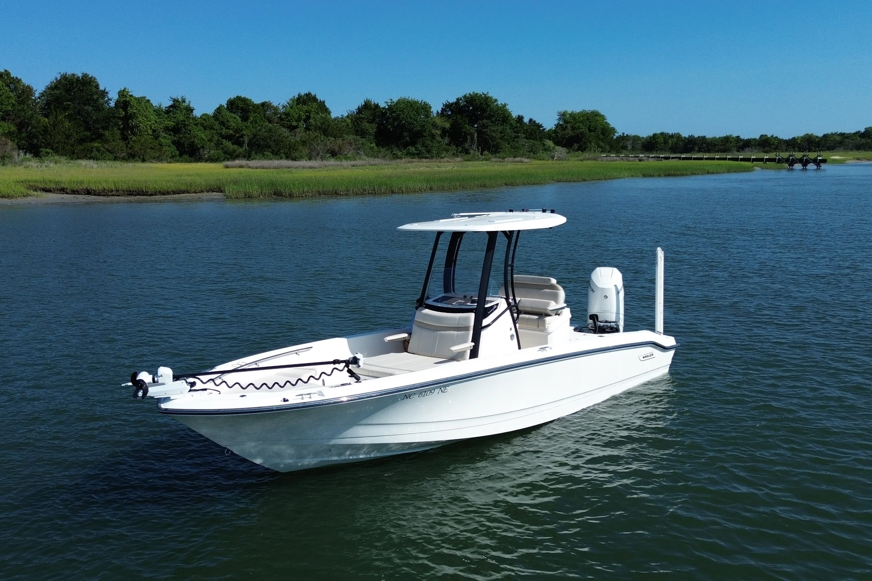 2025 Boston Whaler 250 DAUNTLESS Image Thumbnail #2