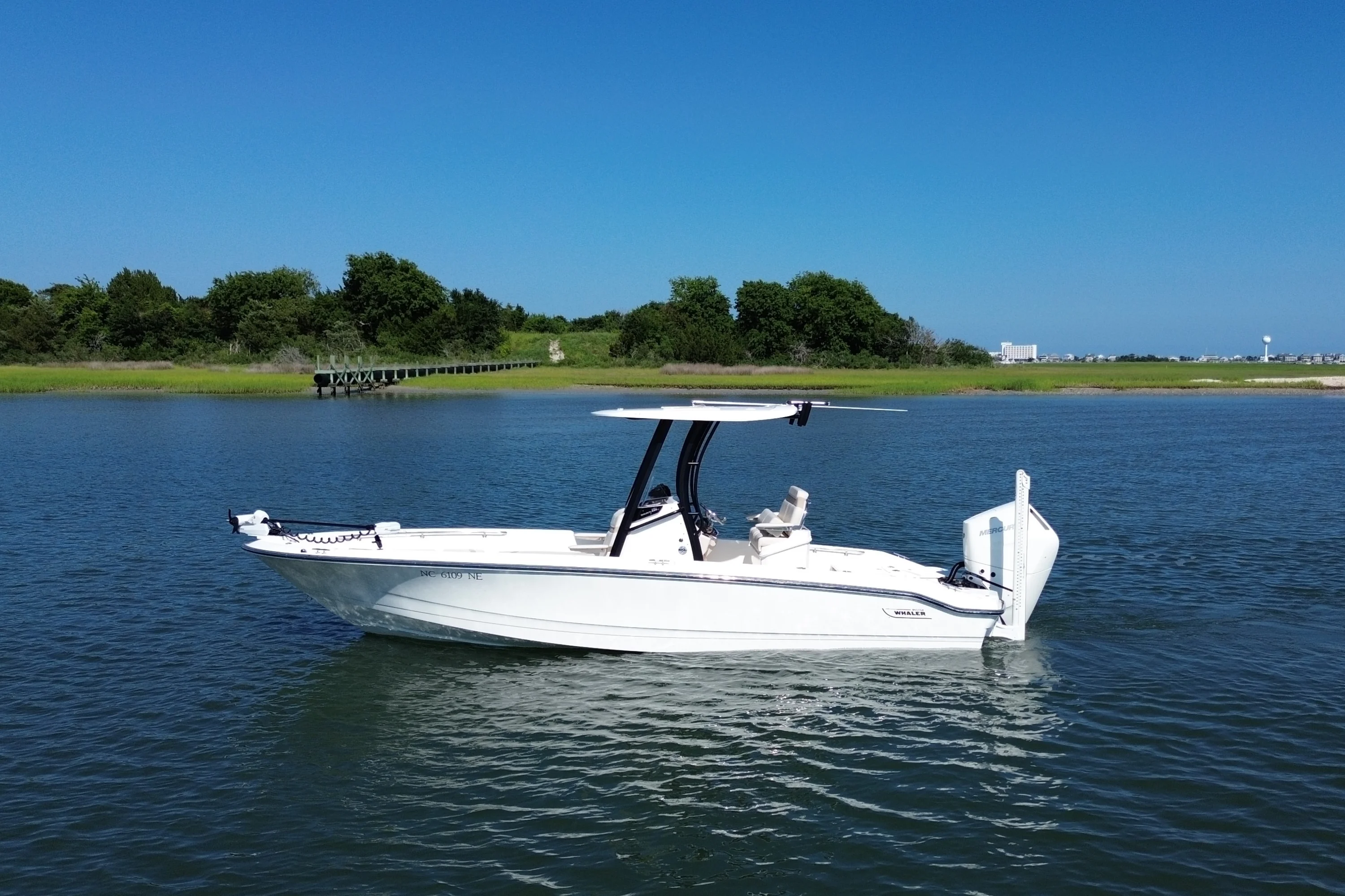 2025 Boston Whaler 250 DAUNTLESS Image Thumbnail #0
