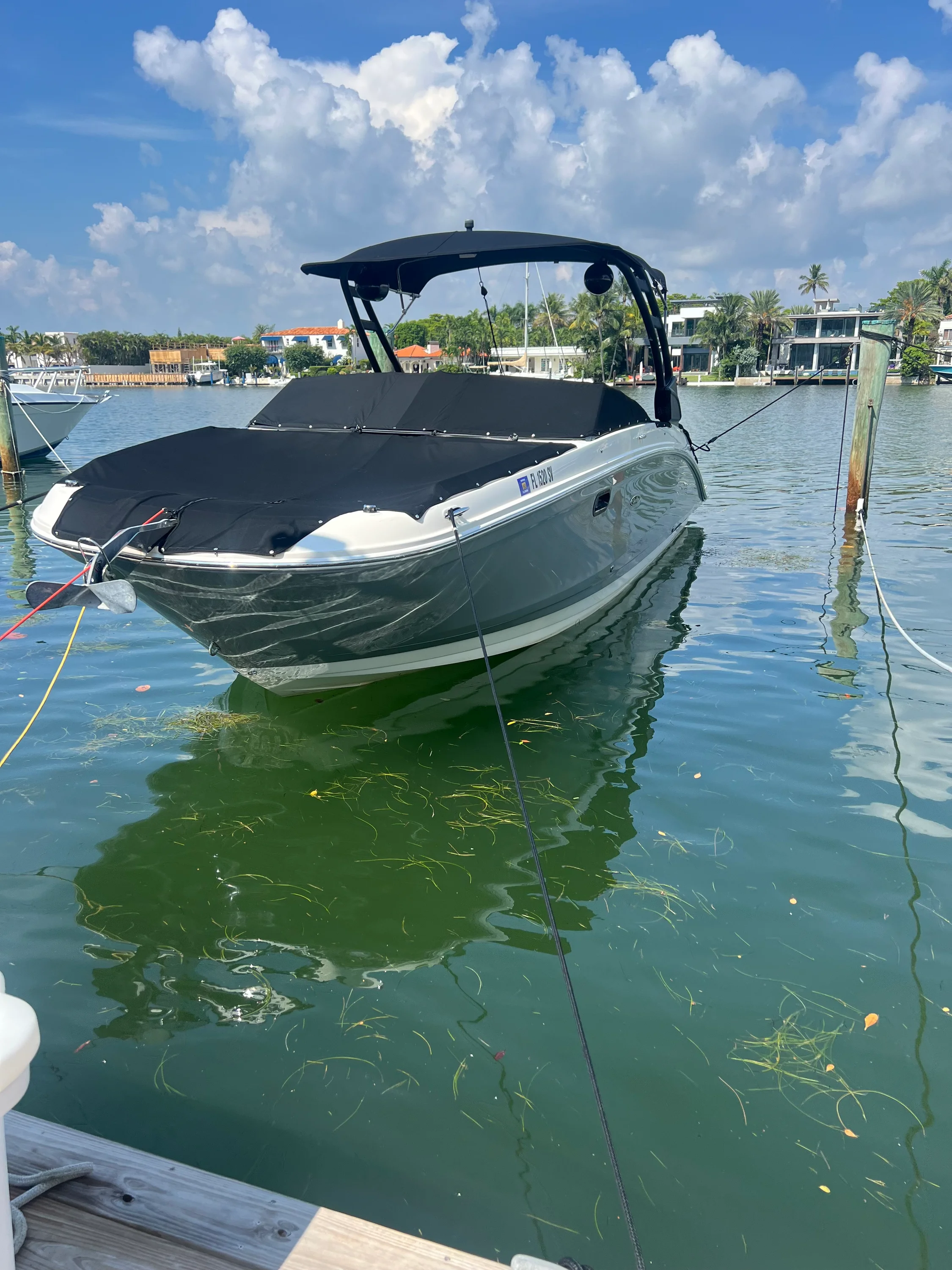 2021 Sea Ray 270 SD OB Image Thumbnail #2