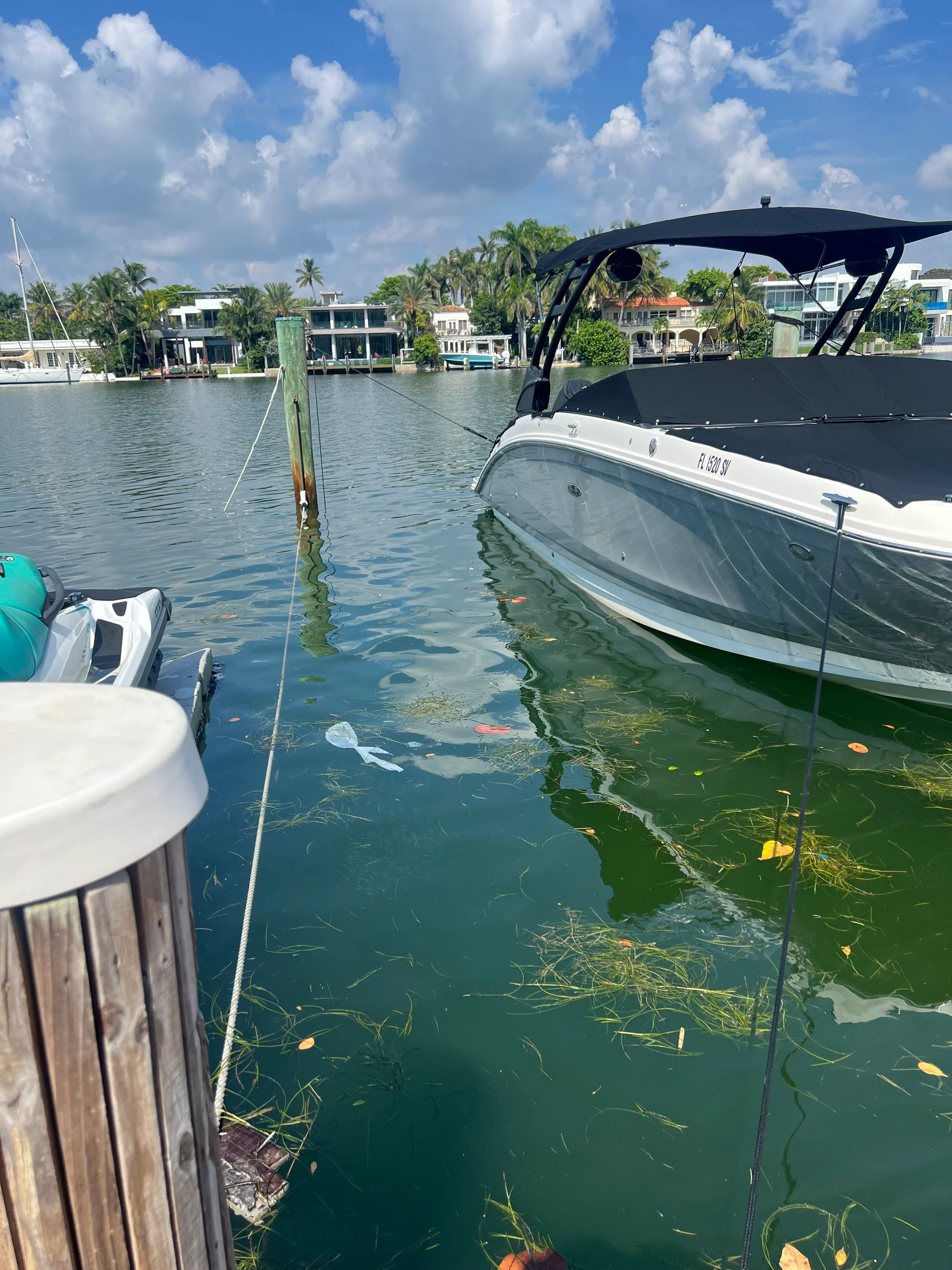 2021 Sea Ray 270 SD OB Image Thumbnail #4