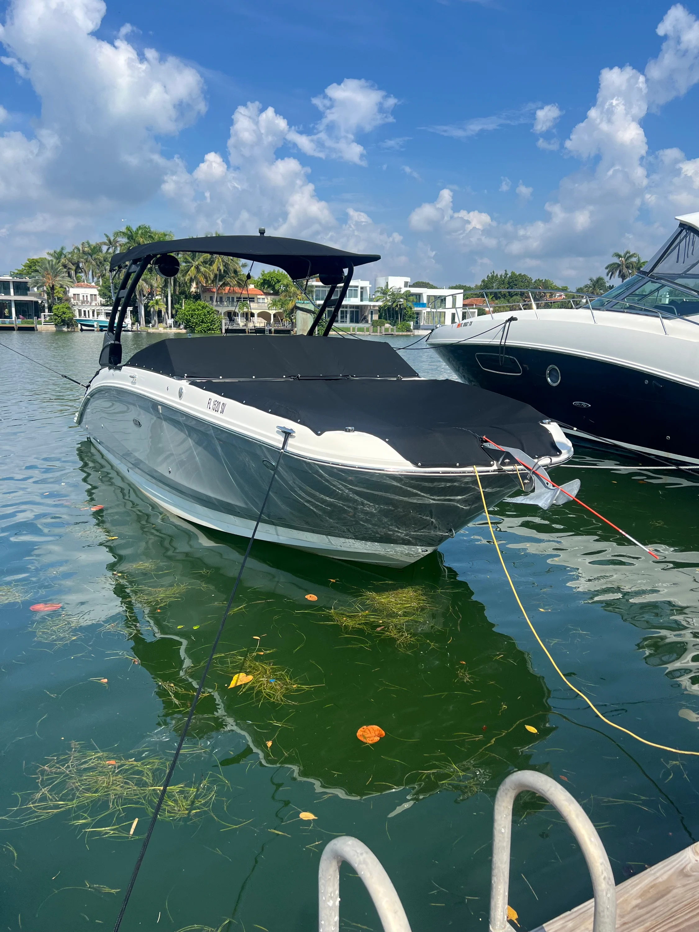 2021 Sea Ray 270 SD OB Image Thumbnail #3