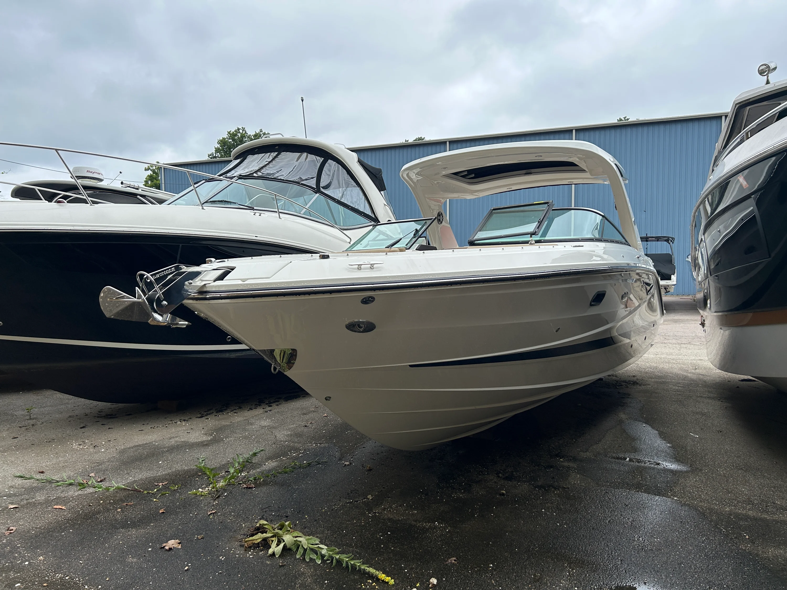 2024 Sea Ray 310 SLX Image Thumbnail #0