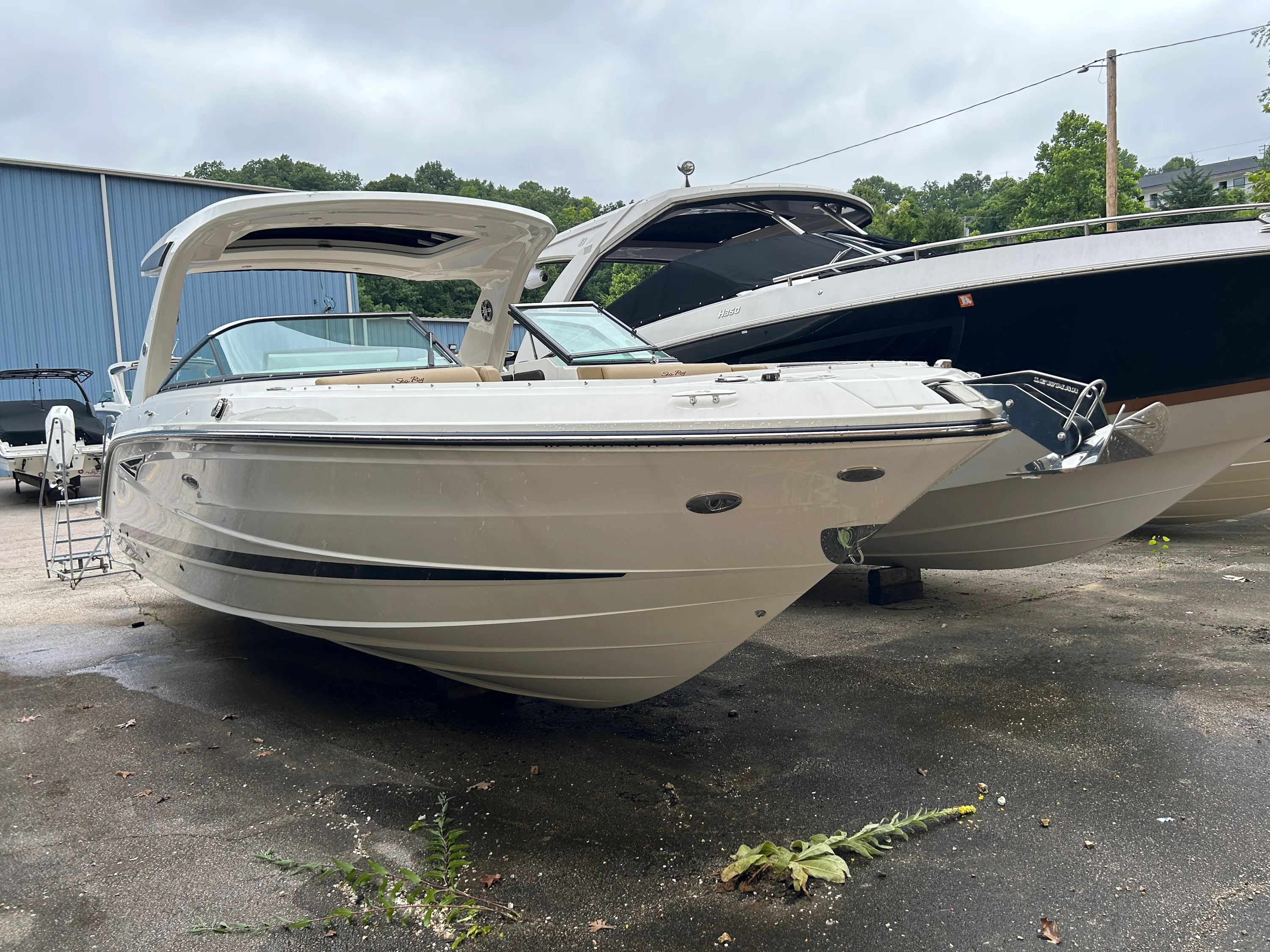 2024 Sea Ray 310 SLX Image Thumbnail #1