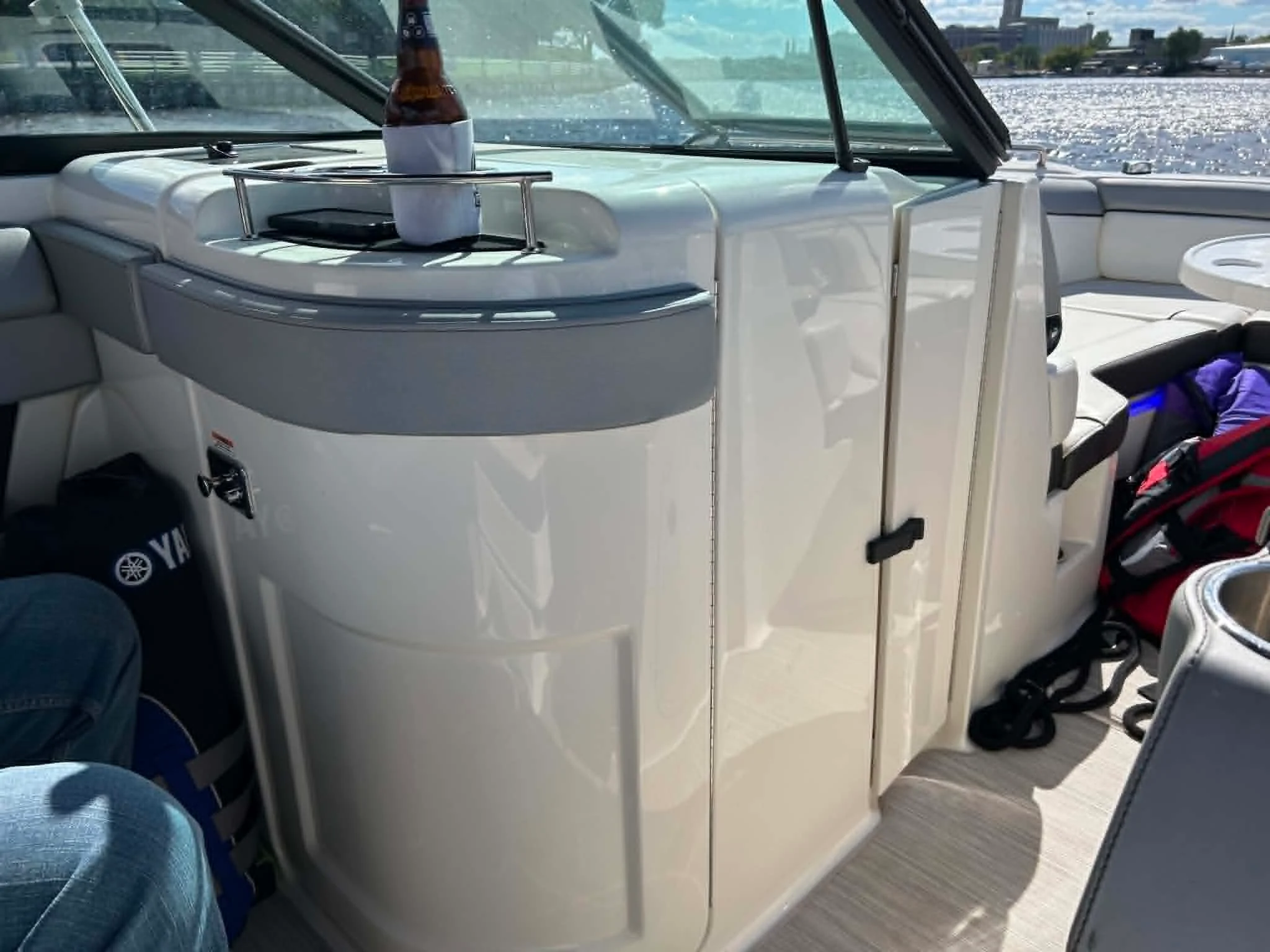 2017 Sea Ray 270 SDX Image Thumbnail #21