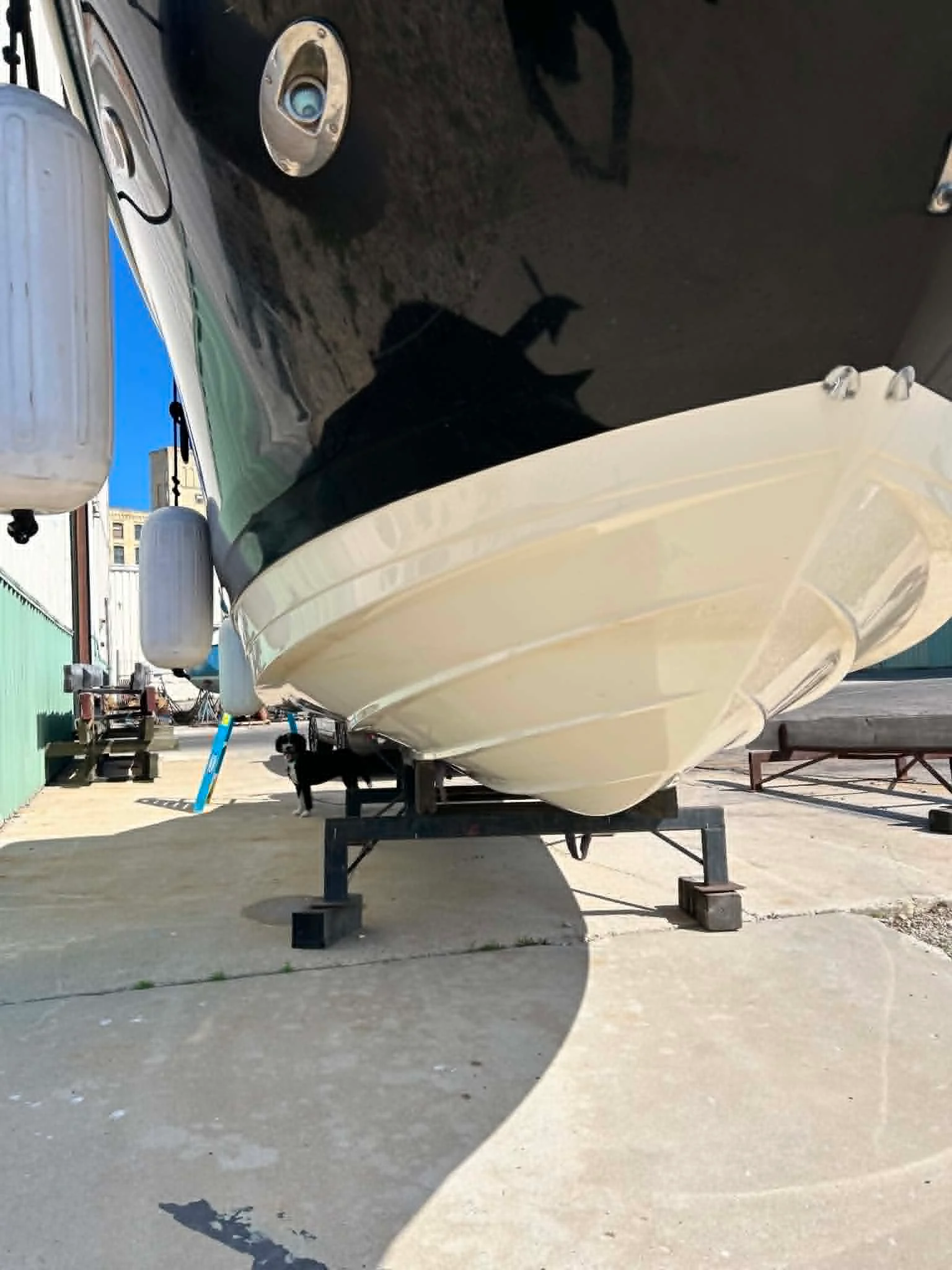 2017 Sea Ray 270 SDX Image Thumbnail #7