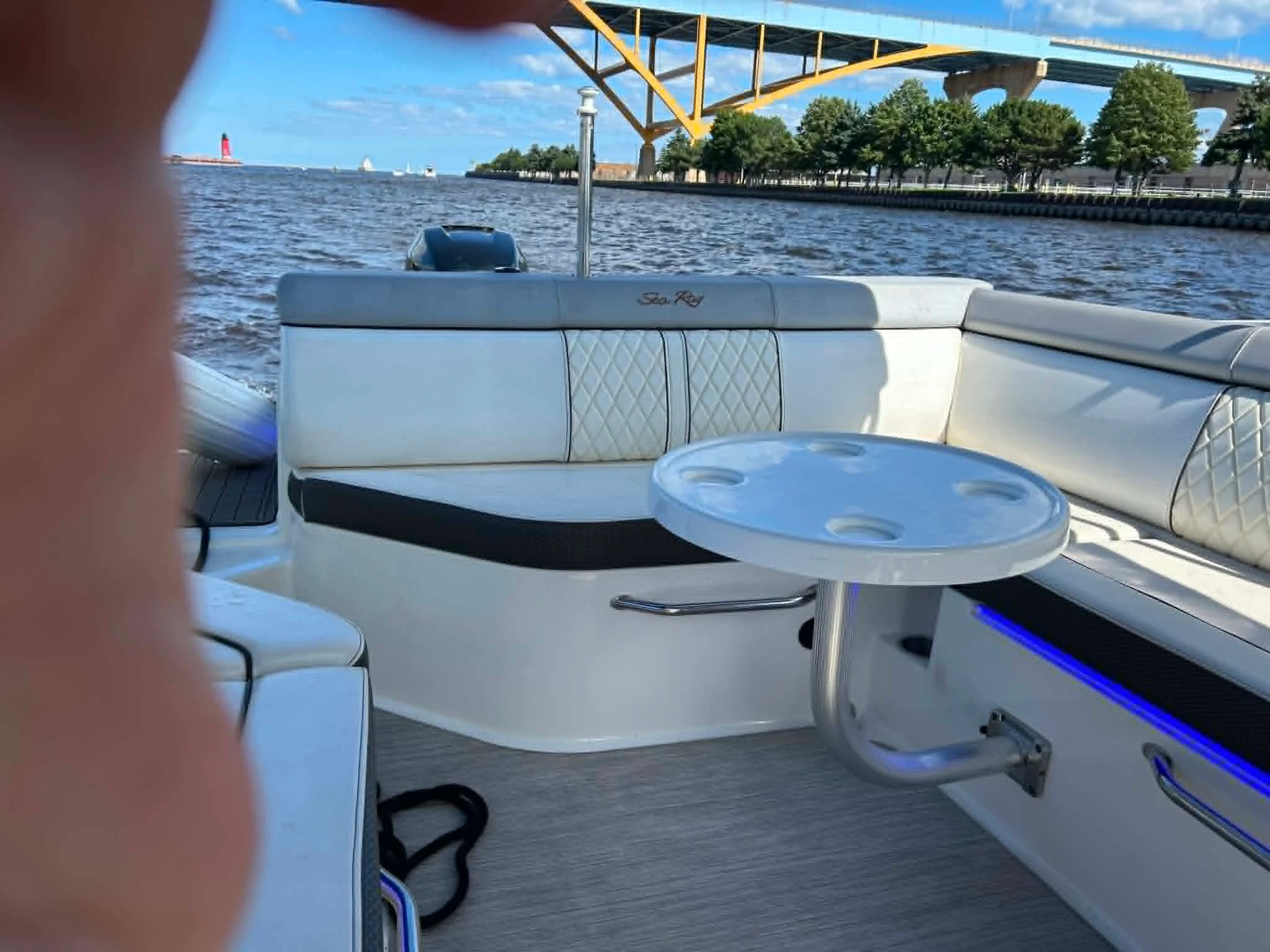 2017 Sea Ray 270 SDX Image Thumbnail #15