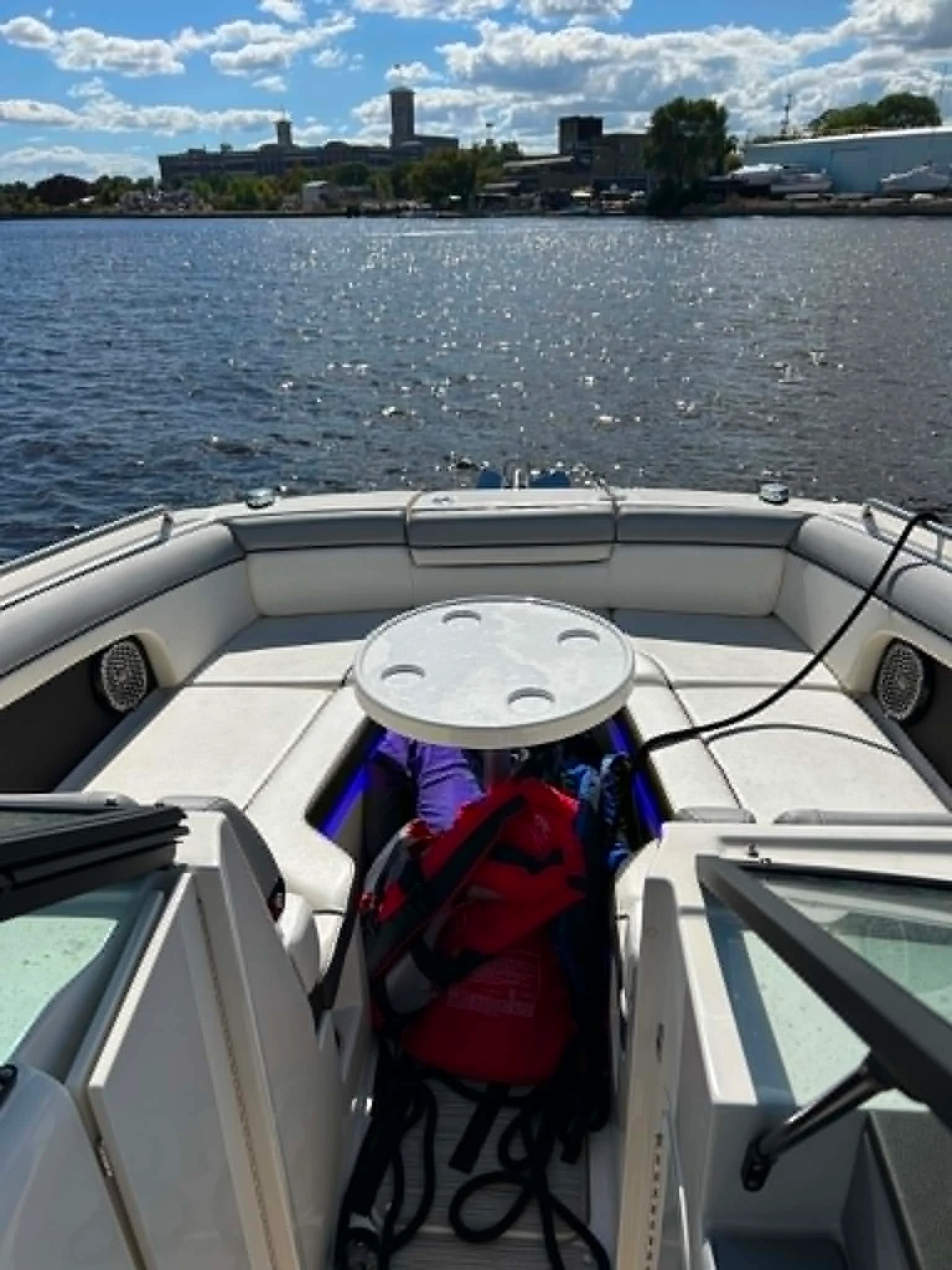 2017 Sea Ray 270 SDX Image Thumbnail #6