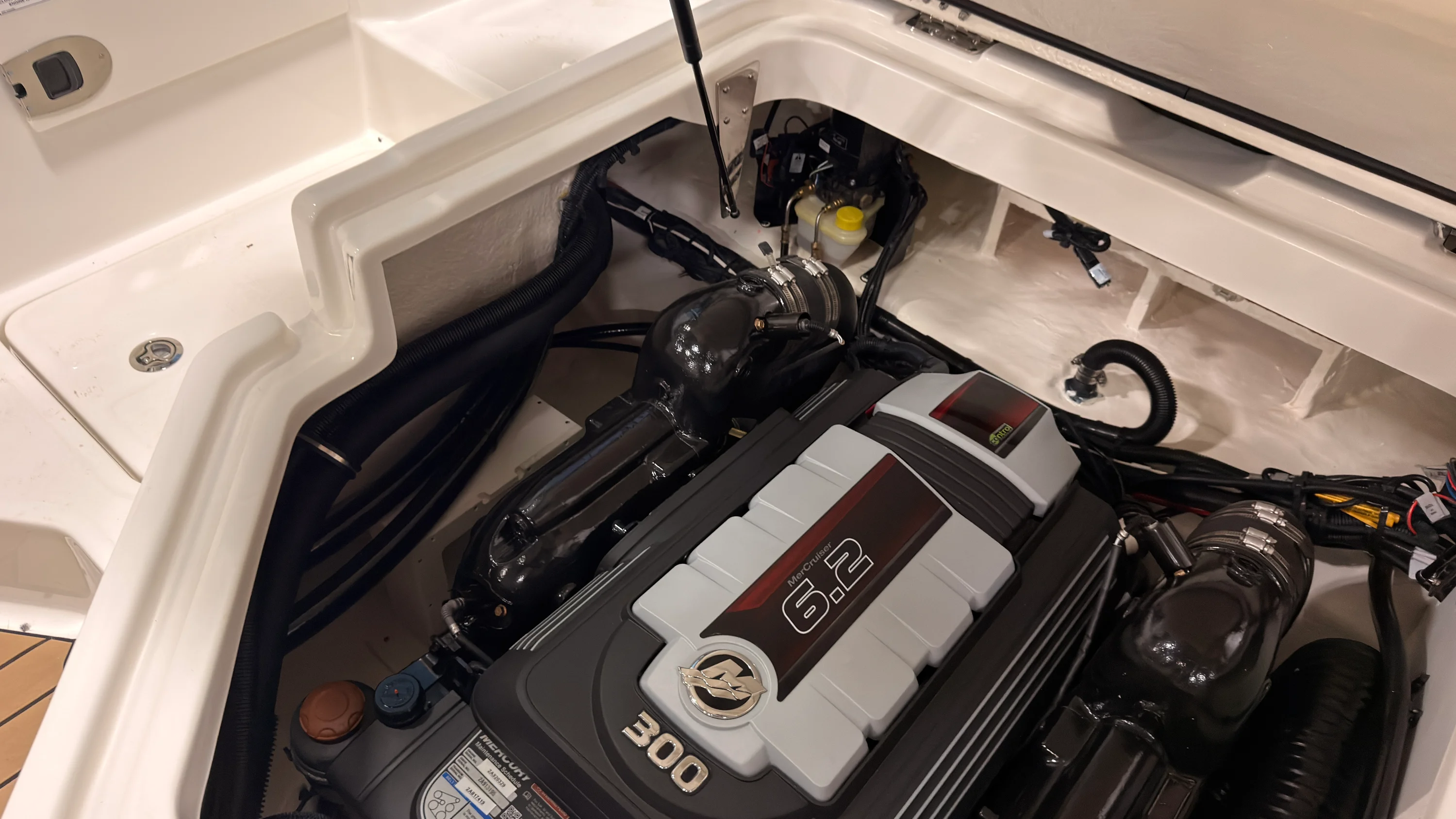 2026 Sea Ray SDX 230 Image Thumbnail #14
