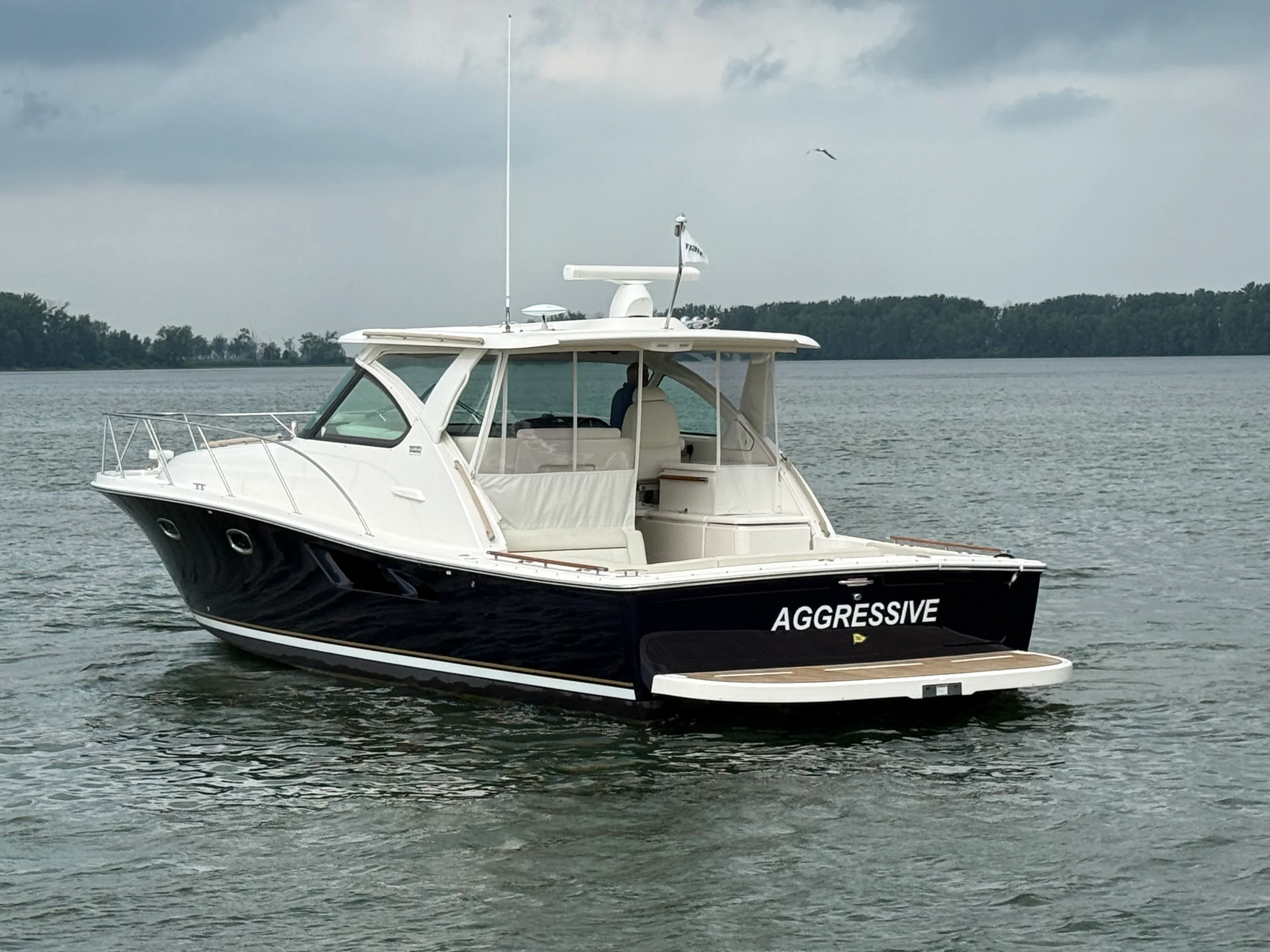 2016 Tiara Yachts 39 CORONET Image Thumbnail #3