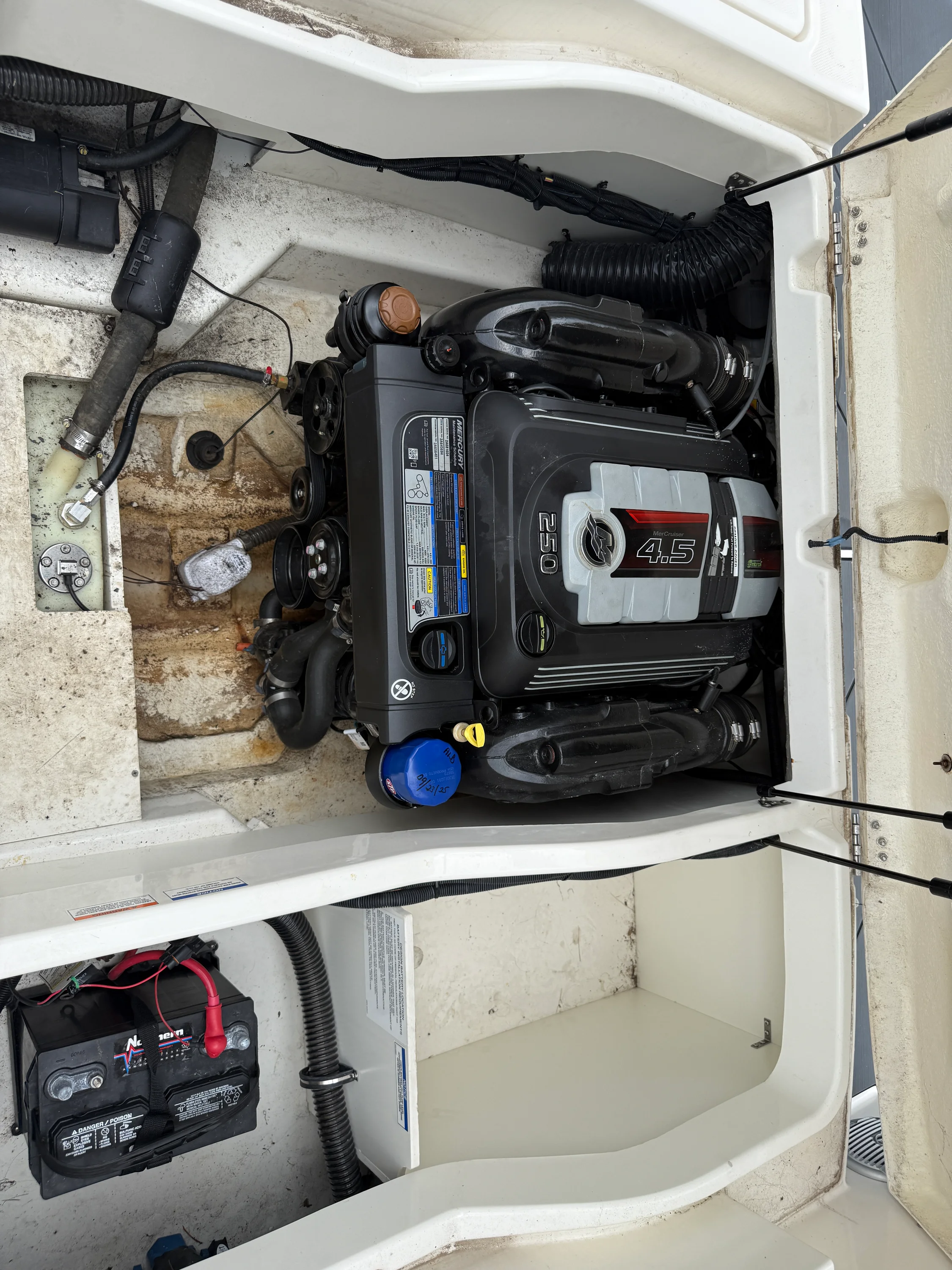 2021 Bayliner 2250 DX Image Thumbnail #26