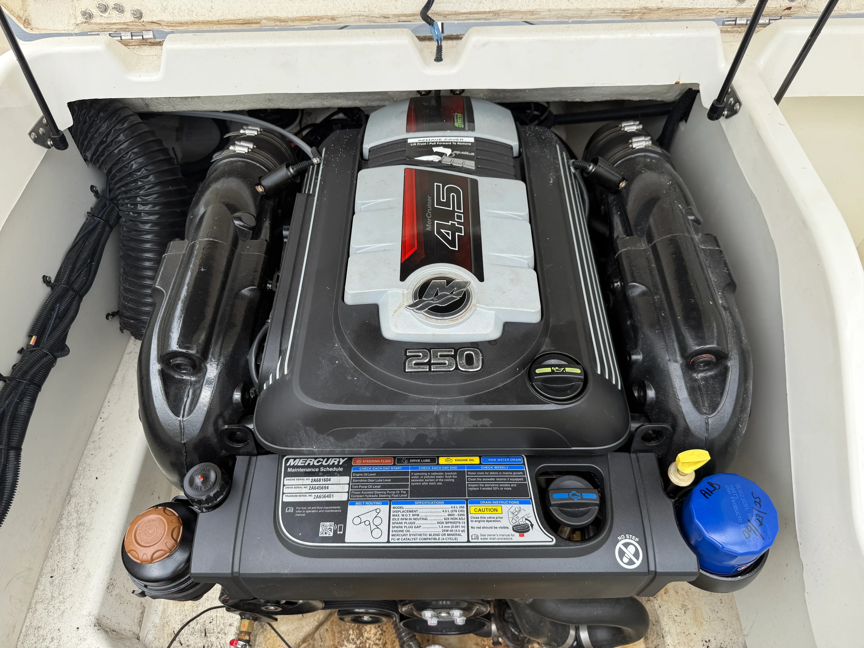 2021 Bayliner 2250 DX Image Thumbnail #27