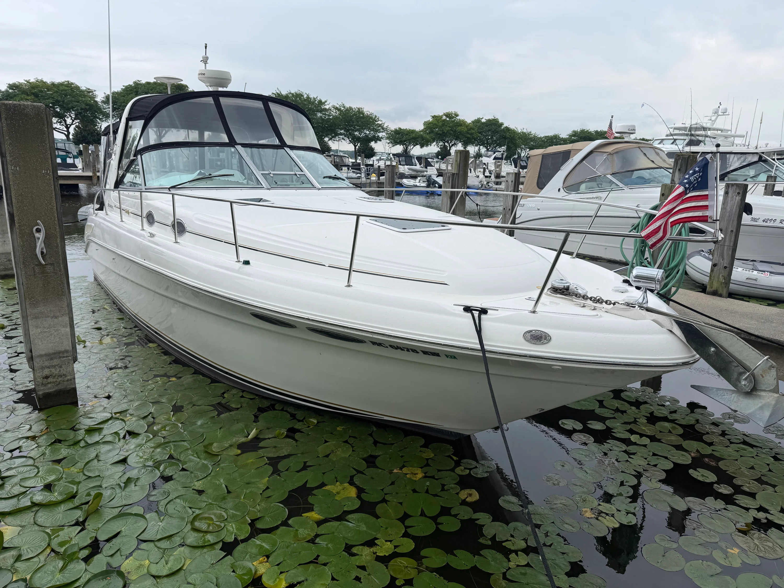 1999 Sea Ray 340 SUNDANCER Image Thumbnail #0