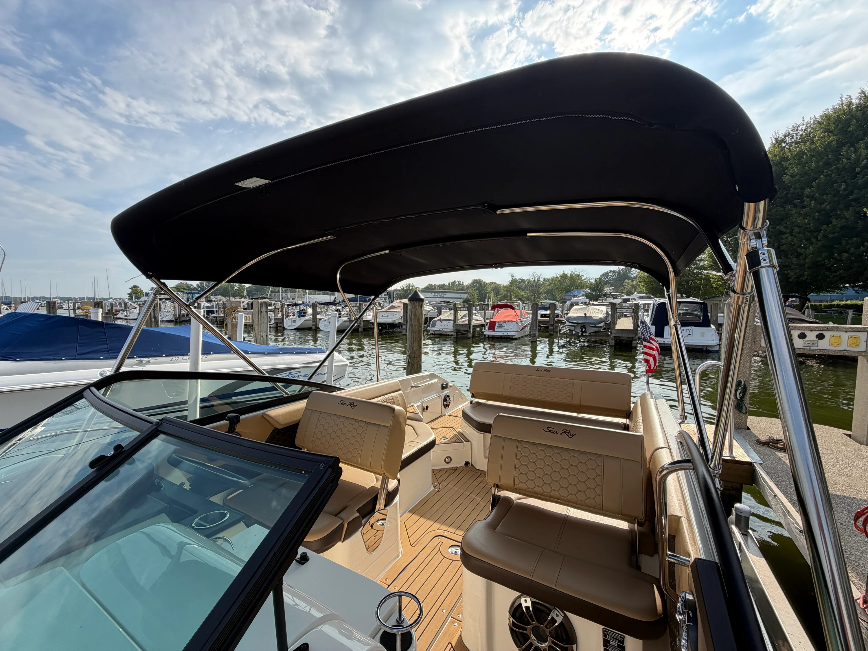 2019 Sea Ray 250 SDX Image Thumbnail #26