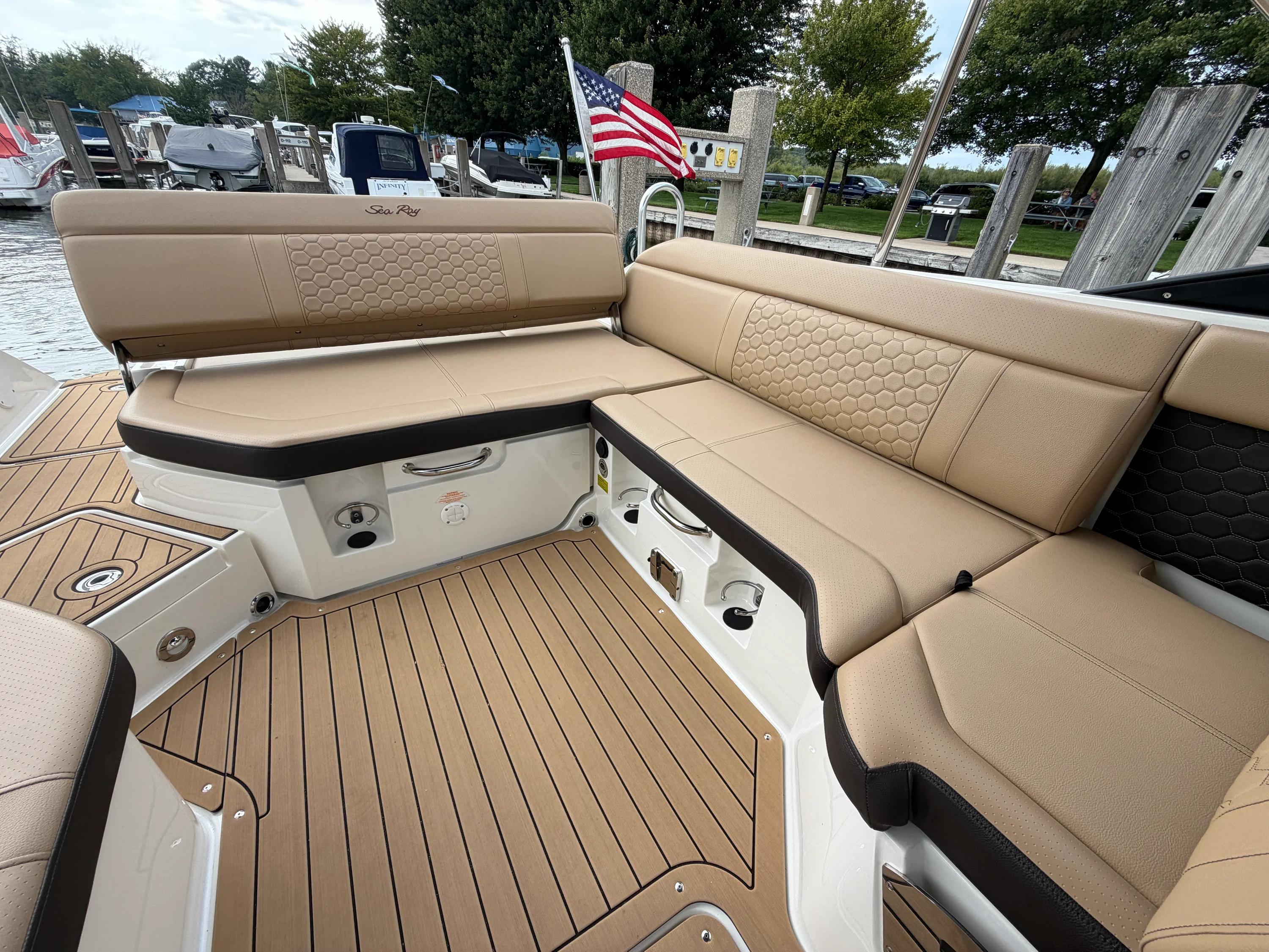 2019 Sea Ray 250 SDX Image Thumbnail #10