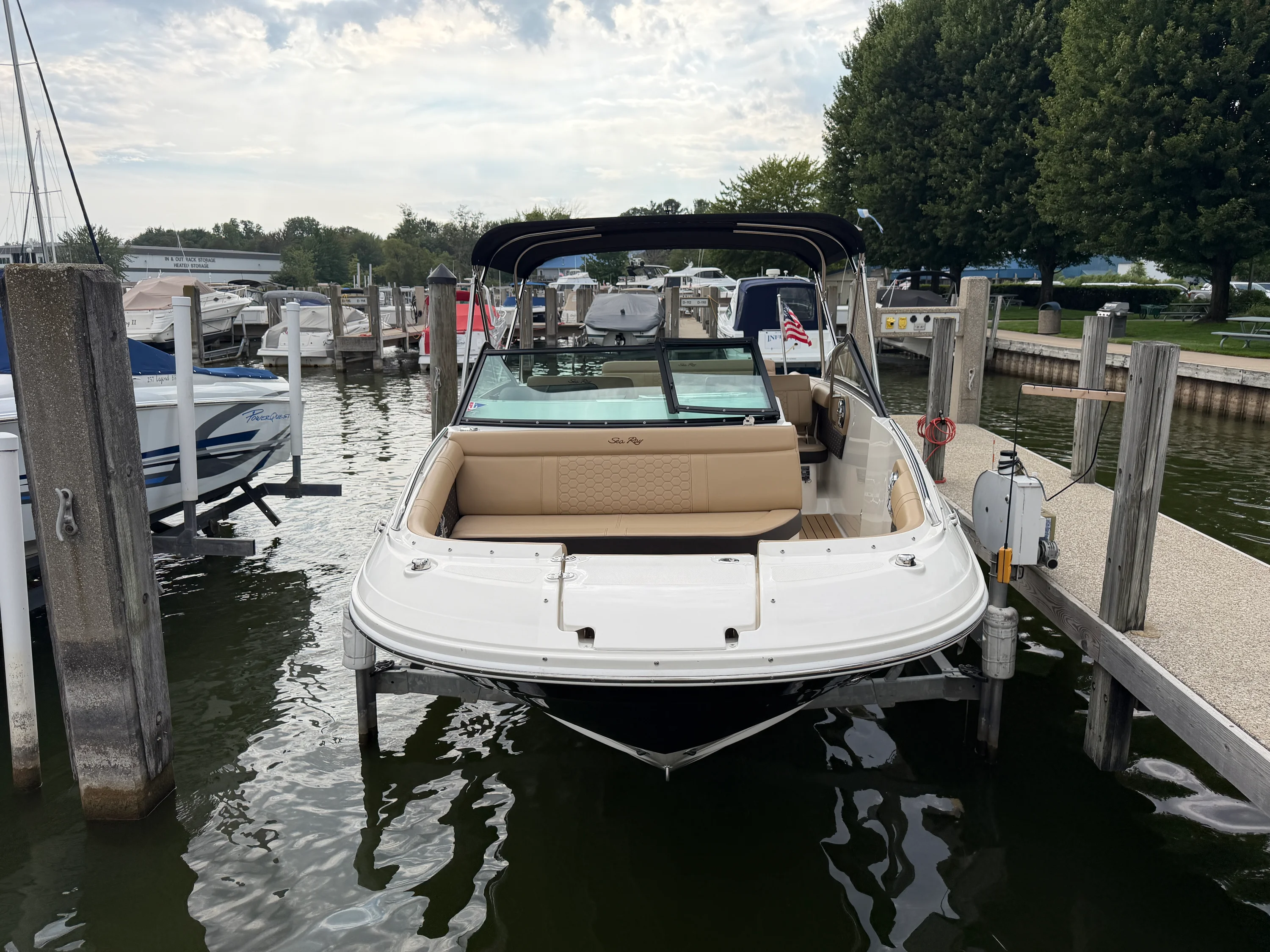 2019 Sea Ray 250 SDX Image Thumbnail #2