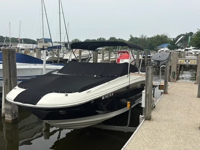 2019 Sea Ray 250 SDX Image Thumbnail #47