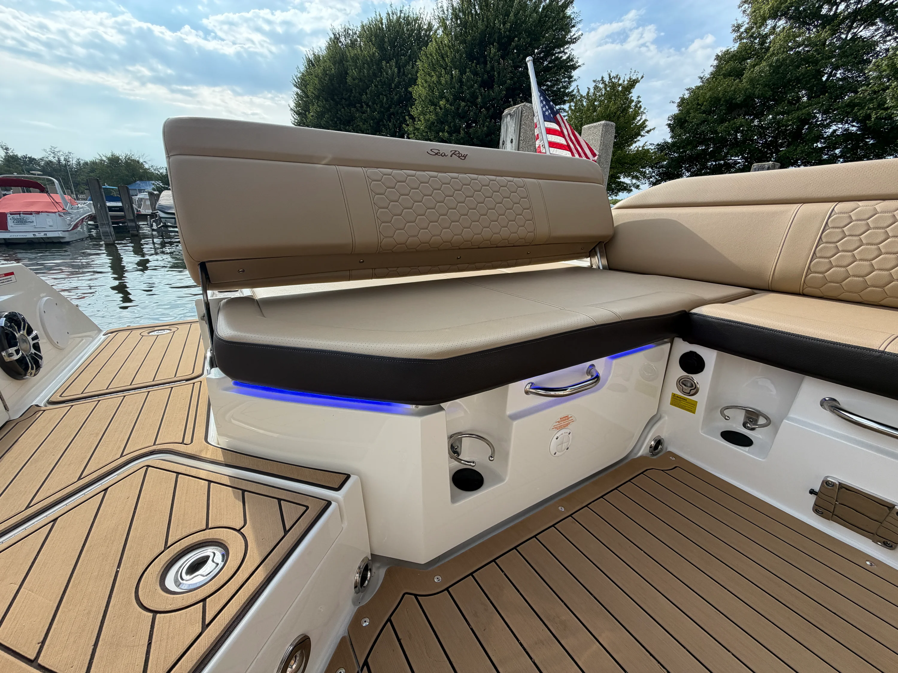 2019 Sea Ray 250 SDX Image Thumbnail #29