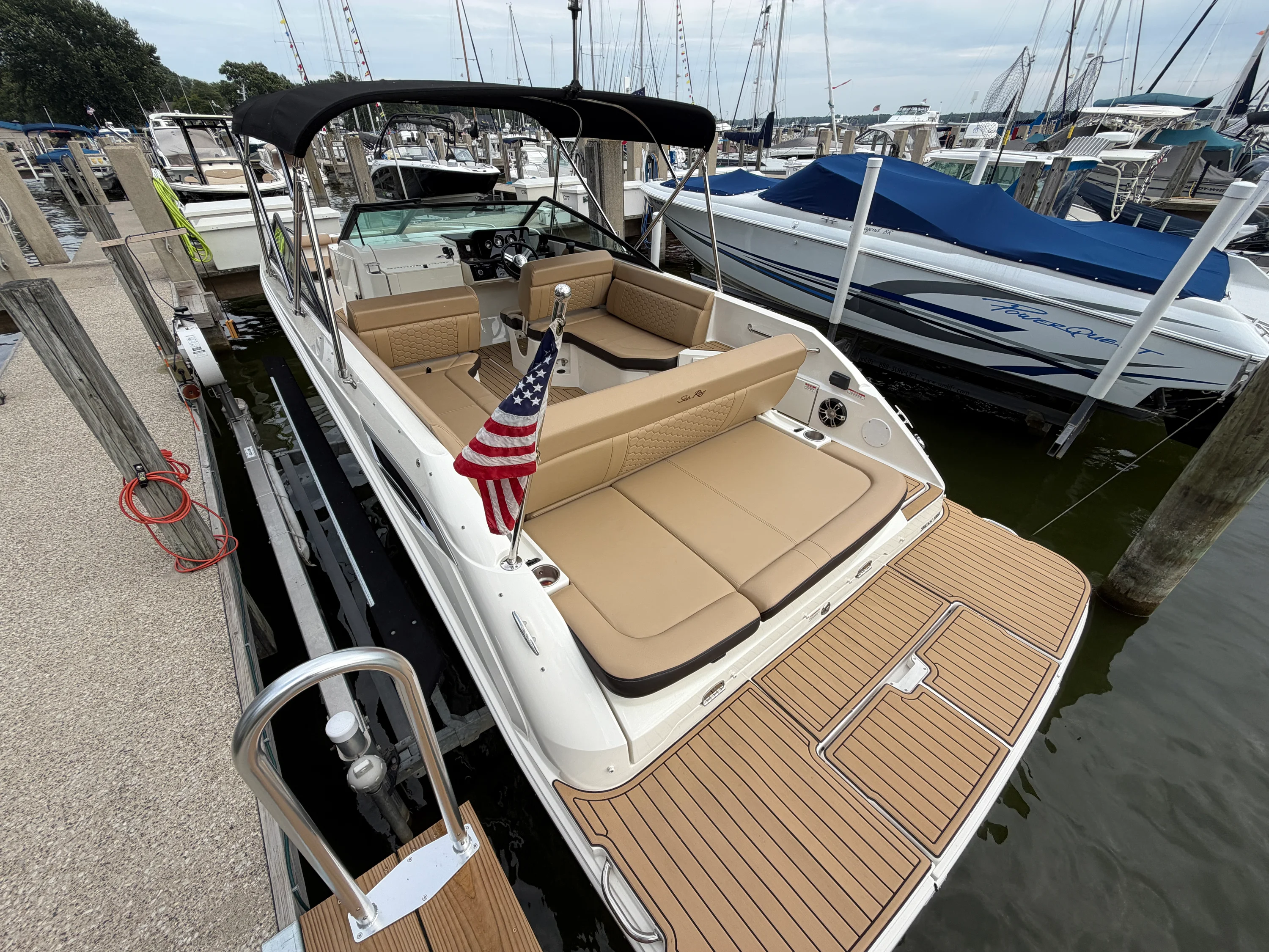 2019 Sea Ray 250 SDX Image Thumbnail #5