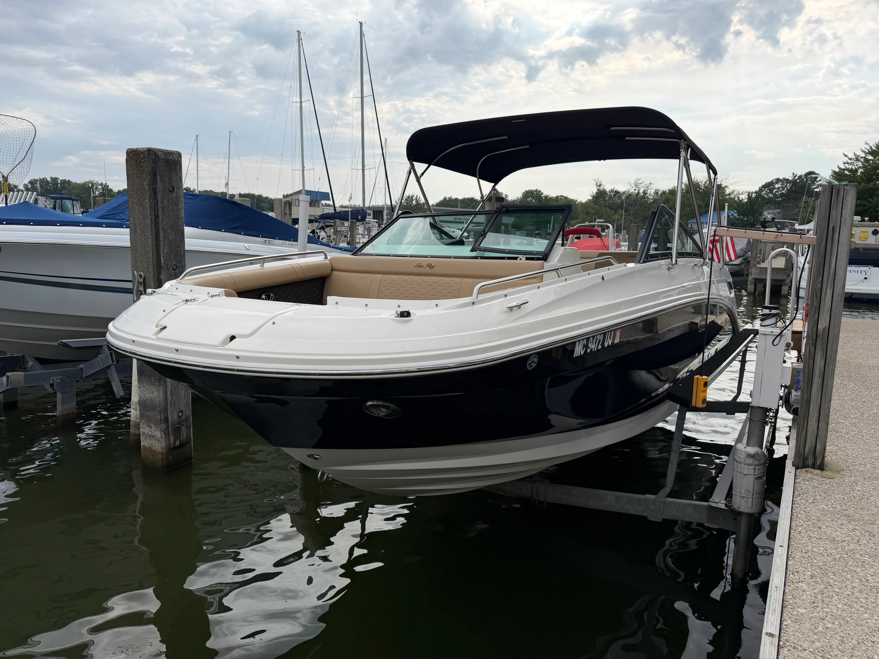 2019 Sea Ray 250 SDX Image Thumbnail #3