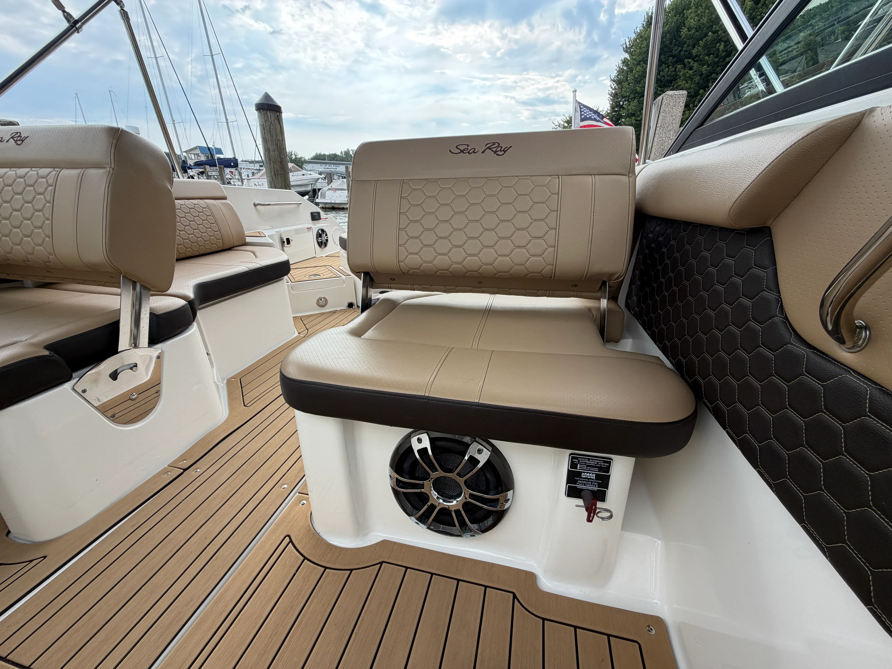 2019 Sea Ray 250 SDX Image Thumbnail #12