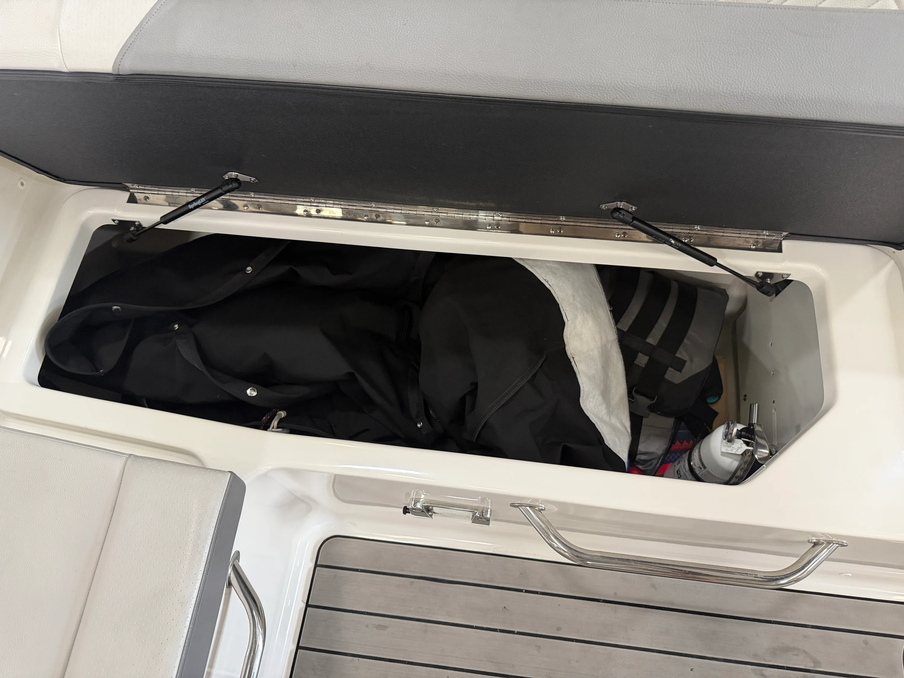 2025 Sea Ray SDX 250 Image Thumbnail #49