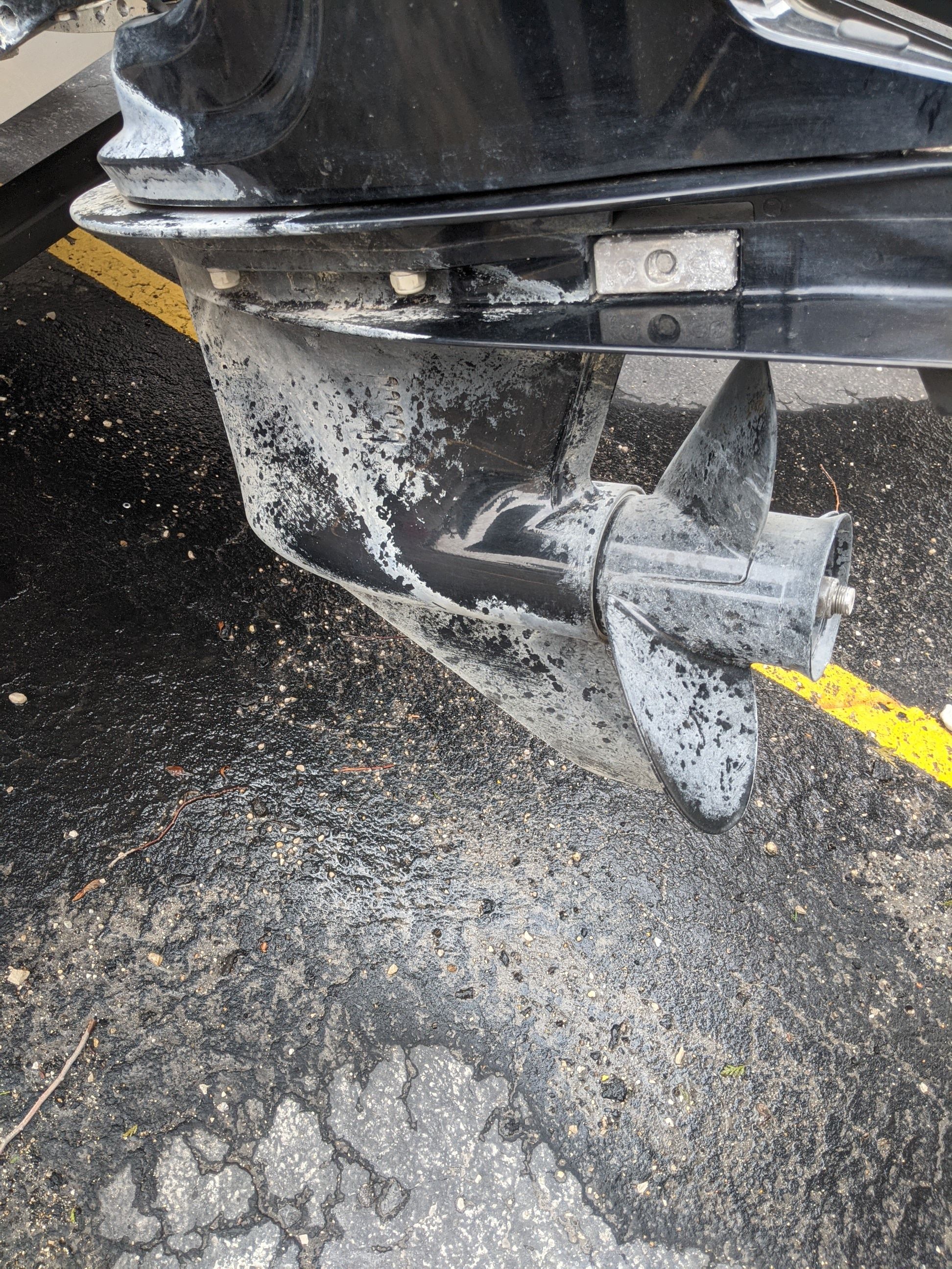 2021 Bayliner
                                                             180 ELEMENT Image Thumbnail #13