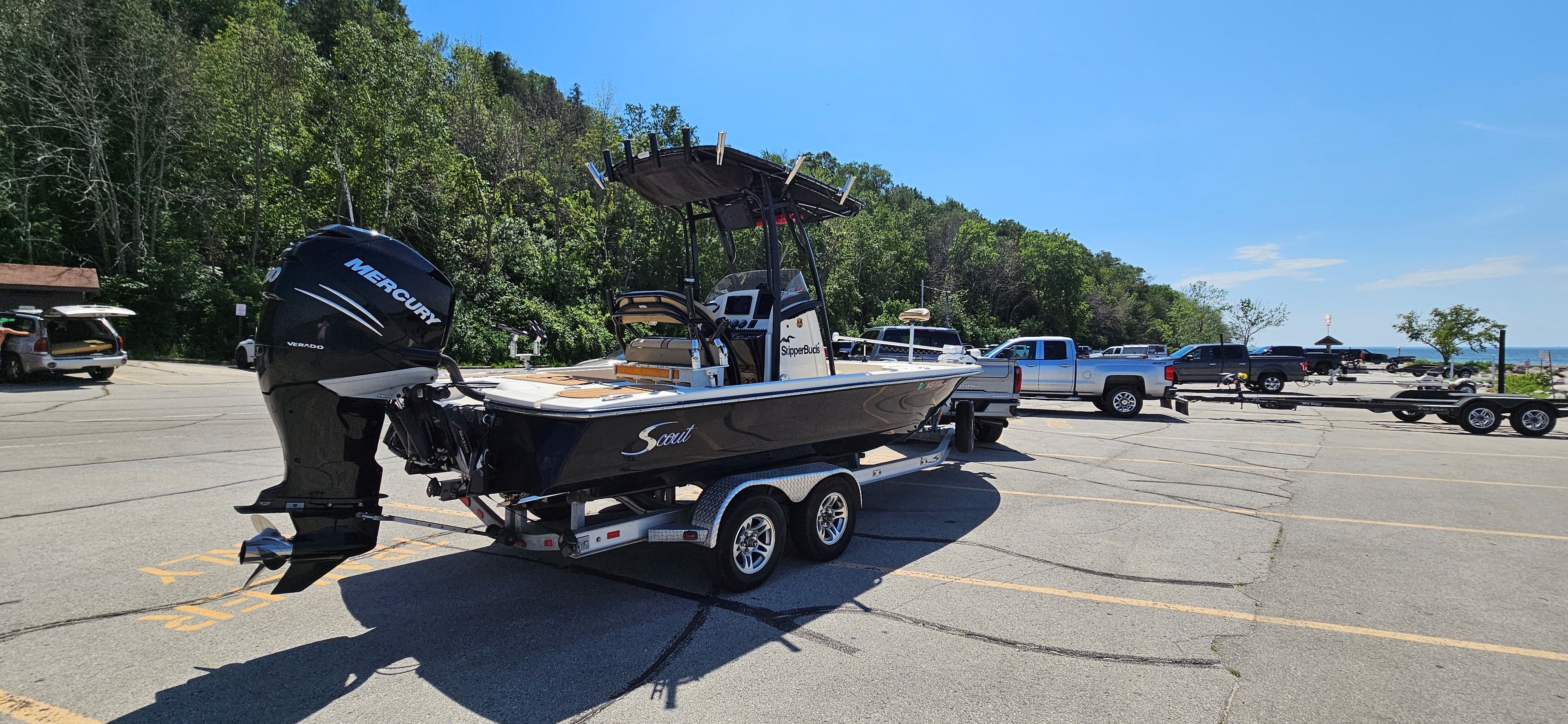 2018 Scout
                                                             231 XS Image Thumbnail #6