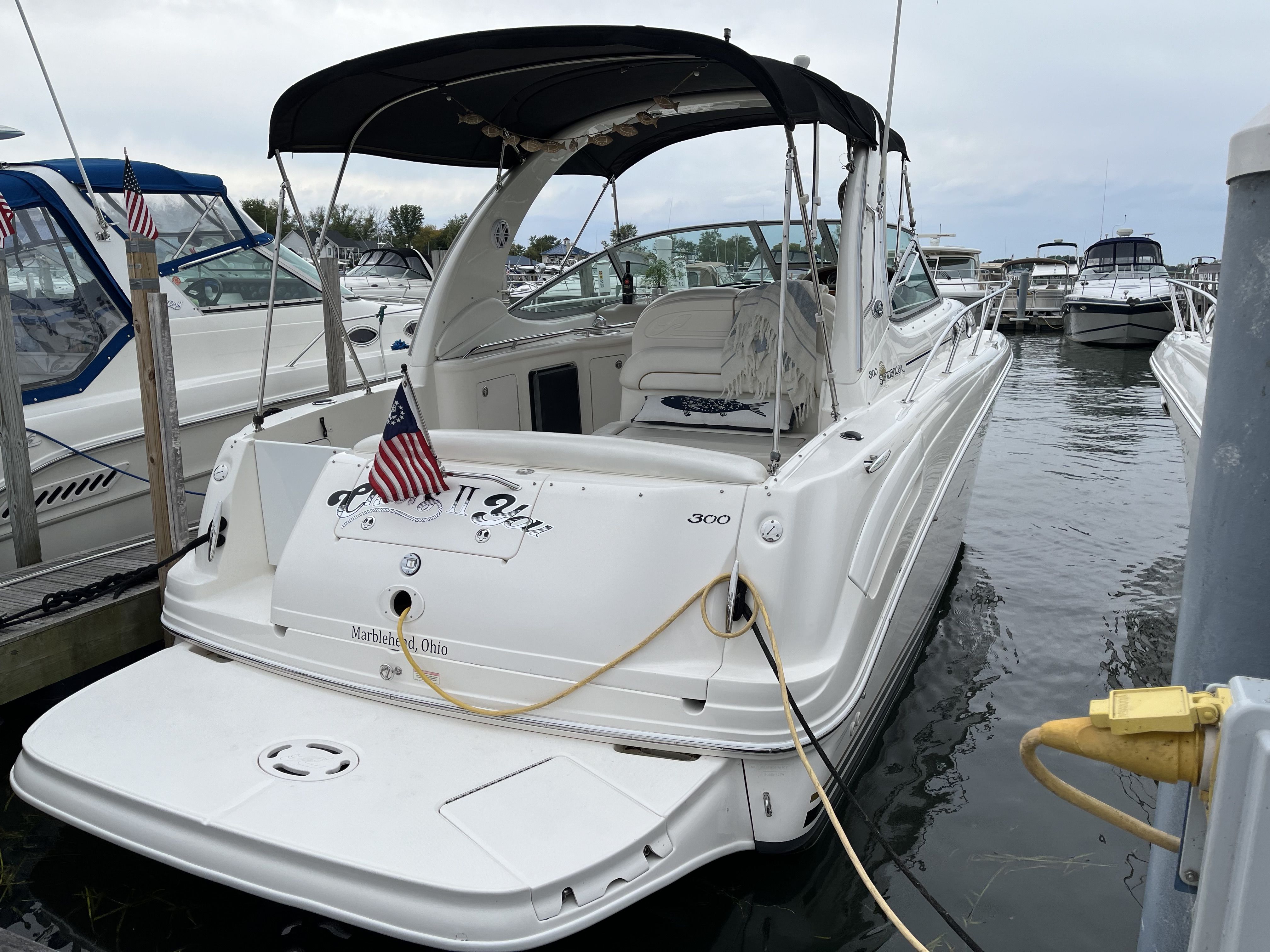 2002 Sea Ray
                                                             300 SUNDANCER Image Thumbnail #5